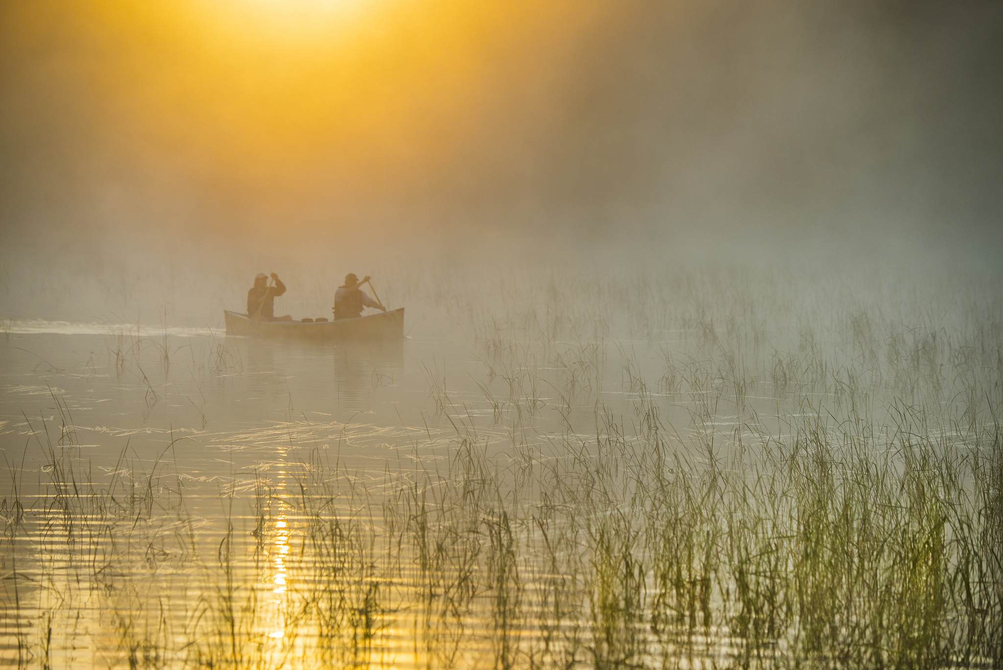 油浸式变压器bp故障诊断系统设计
