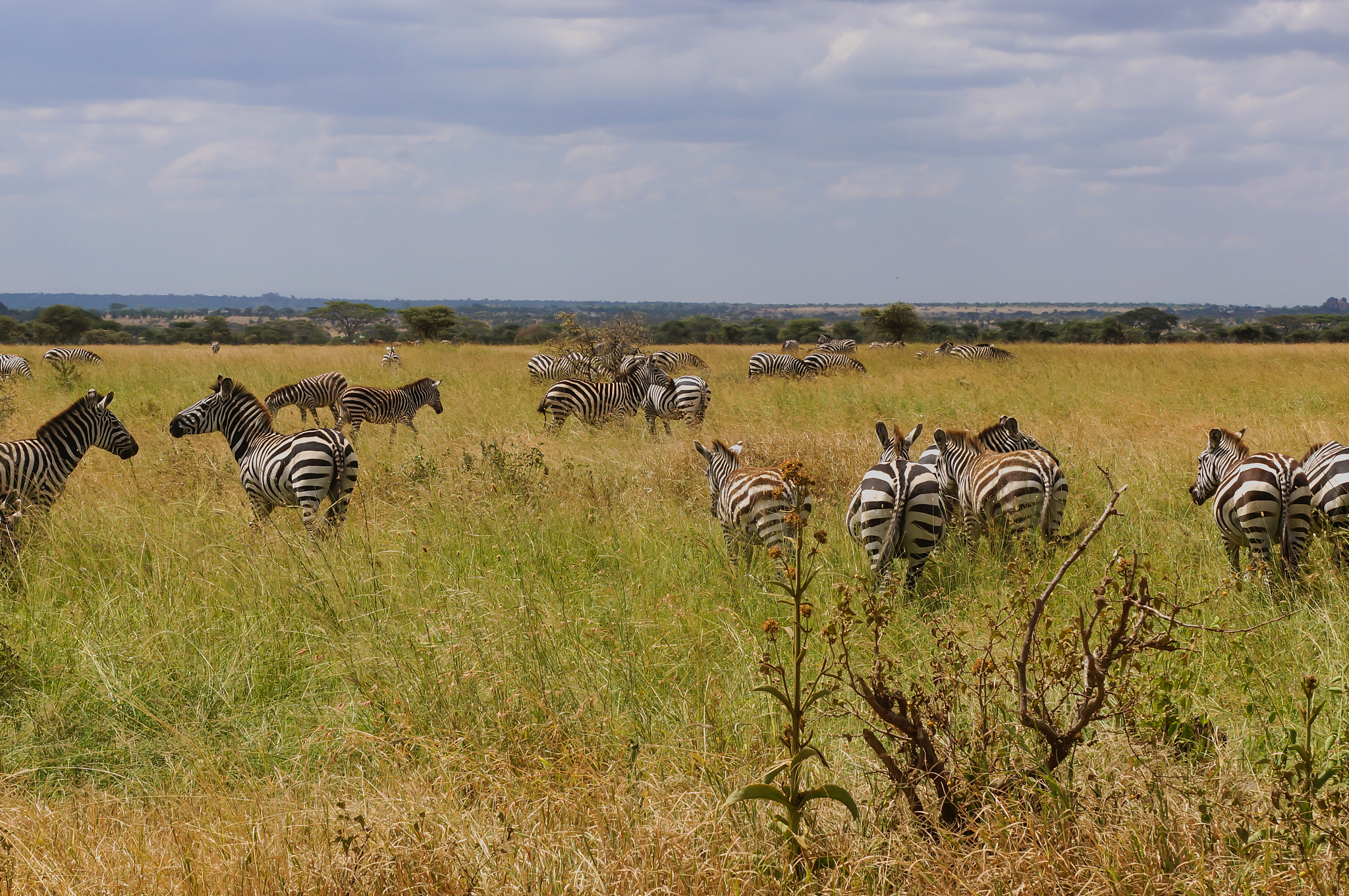 in wildlife sanctuary
