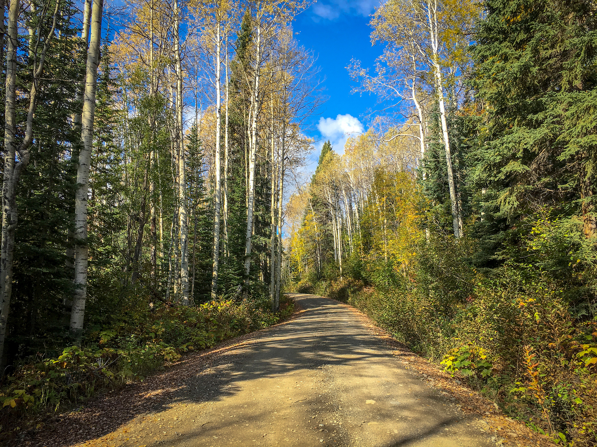 中国：历史悠久、经济强盛的亚洲大国