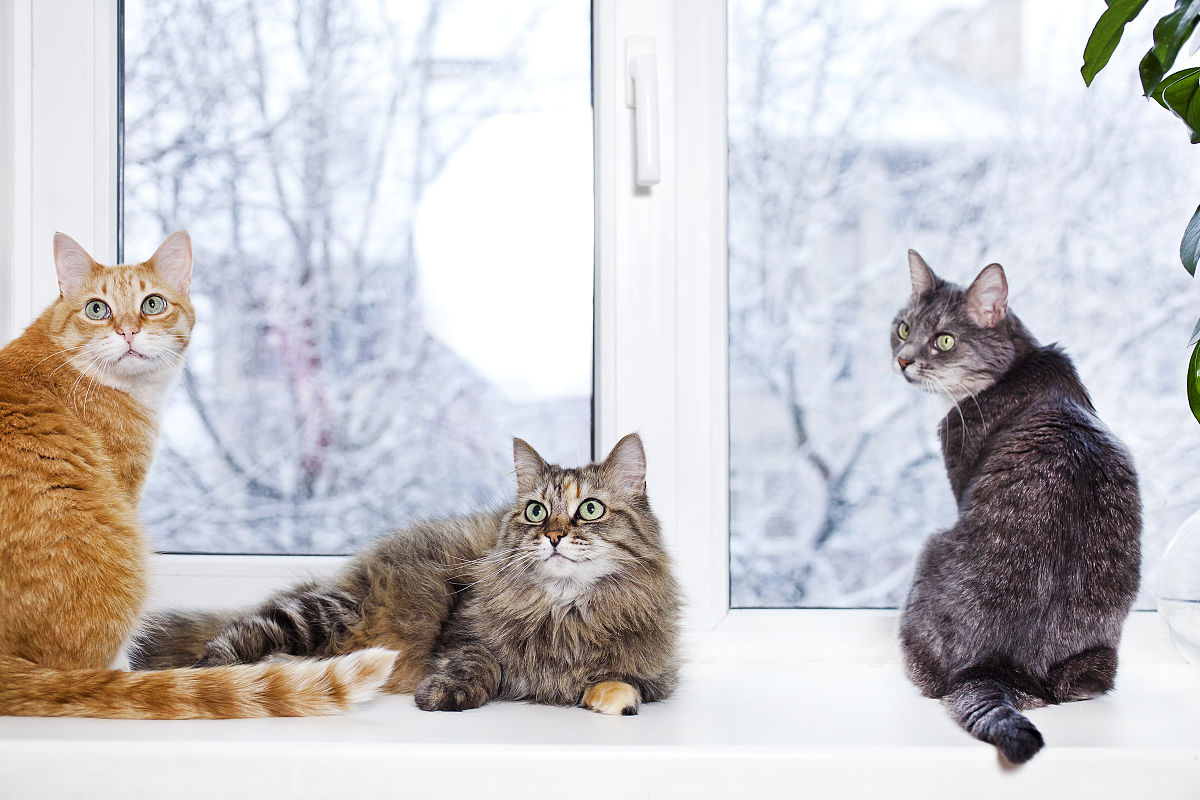 三只松鼠仓库管理流程问题流程有以下几点