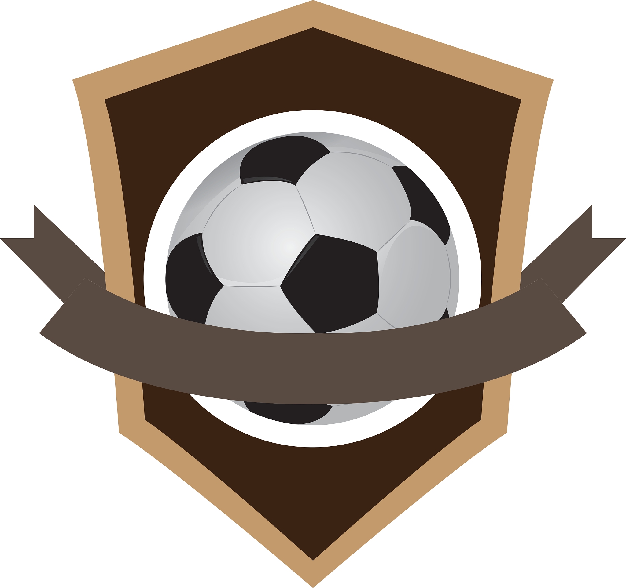isolated soccer emblem
