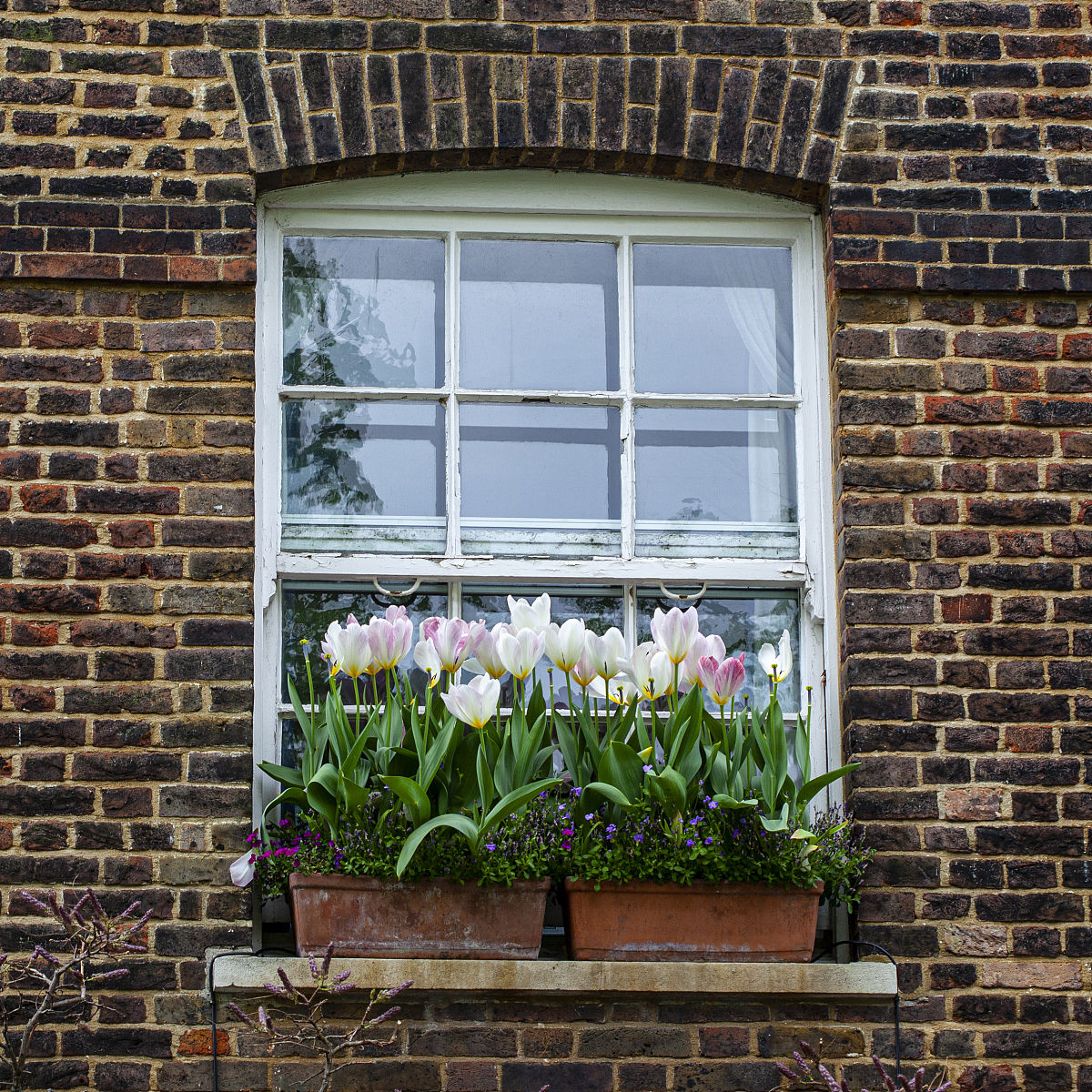 窗户外面的景色像是春天一样鸟语花香般璀璨与窗内产生了极大的反差这句话合理吗？