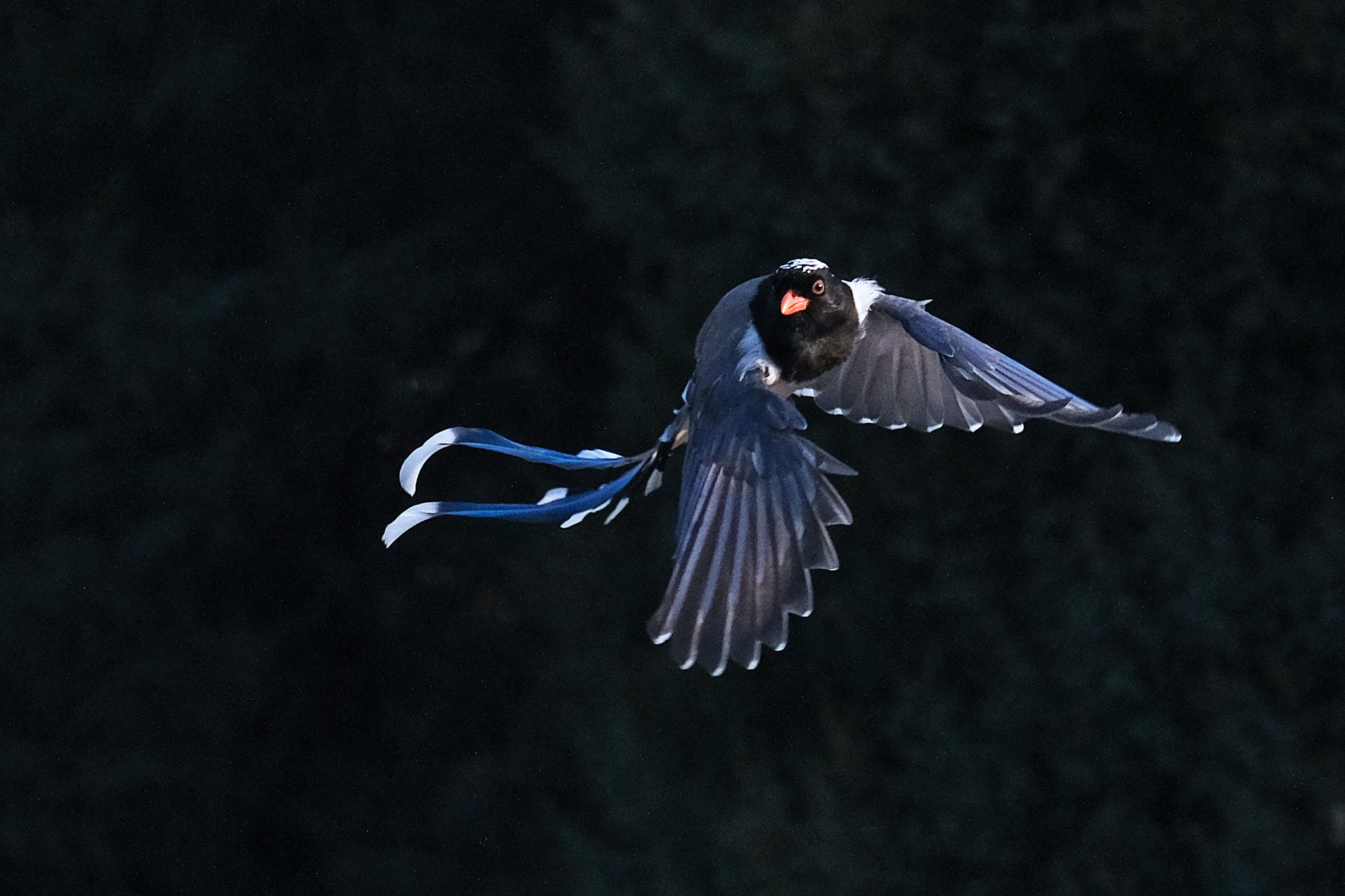 变电站一次设备巡视方案设计指南