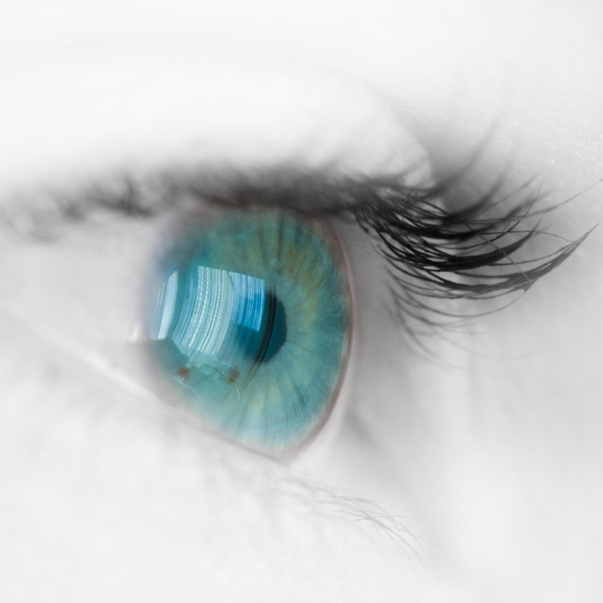 blue eye macro