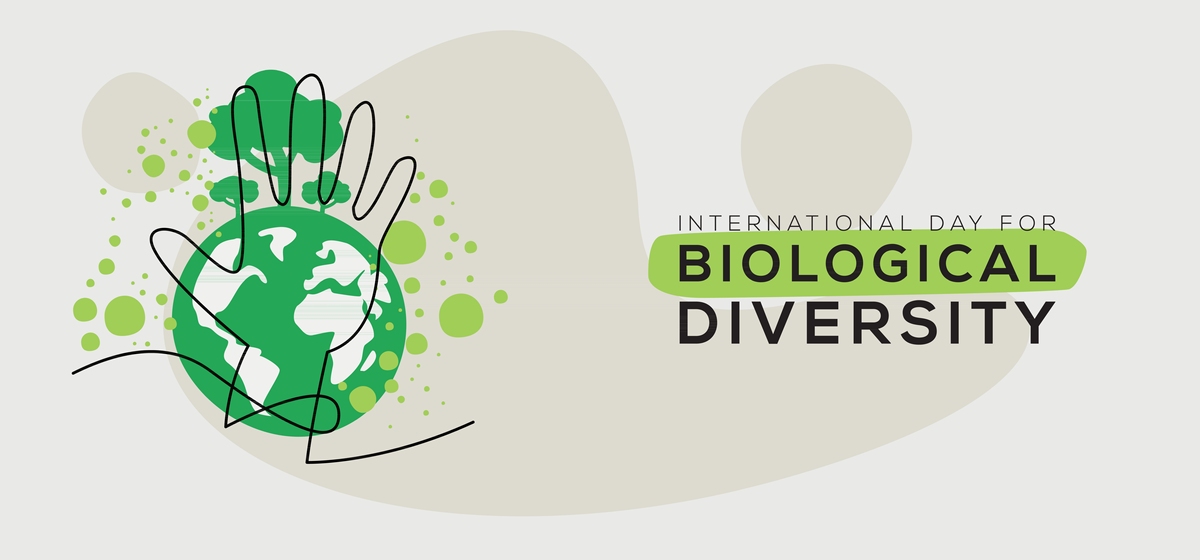 生成一篇以大学生如何绿色生活为主题的英语演讲稿