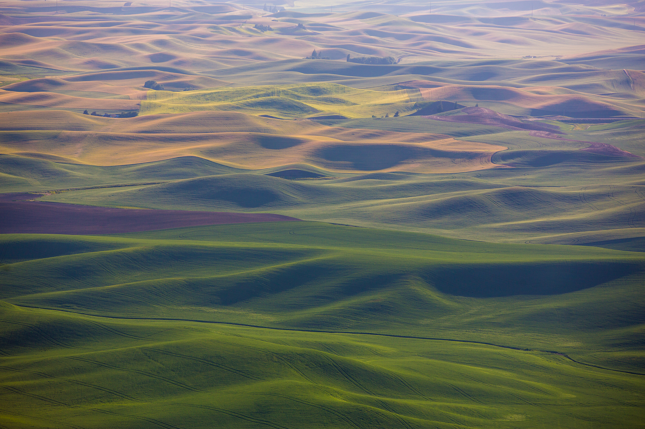 palouse hills