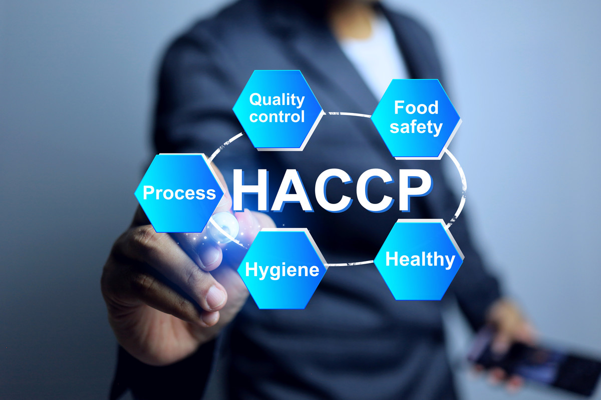 The Impact of Technology on Modern Life: A Comprehensive Analysis