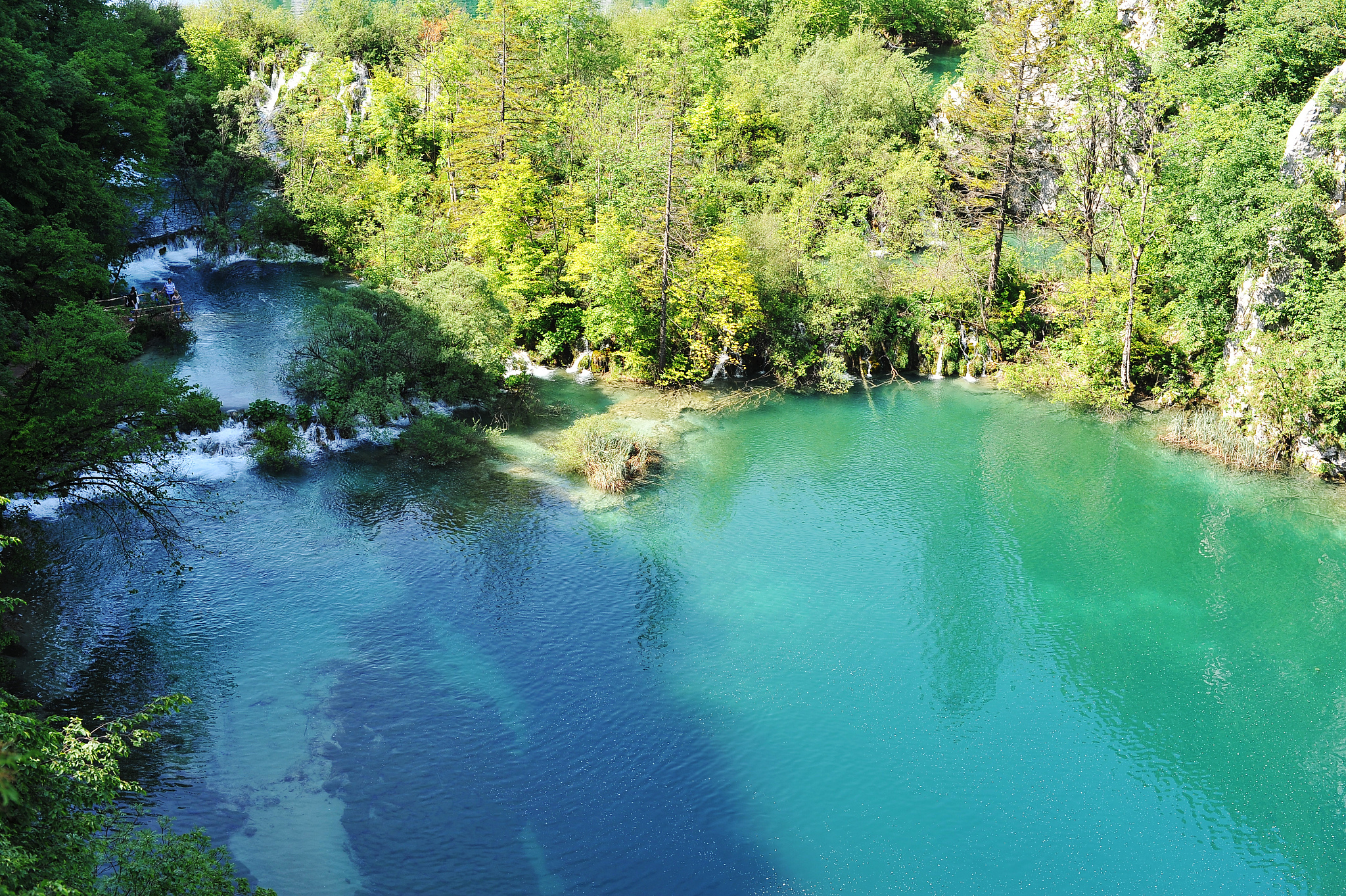 lake in forest