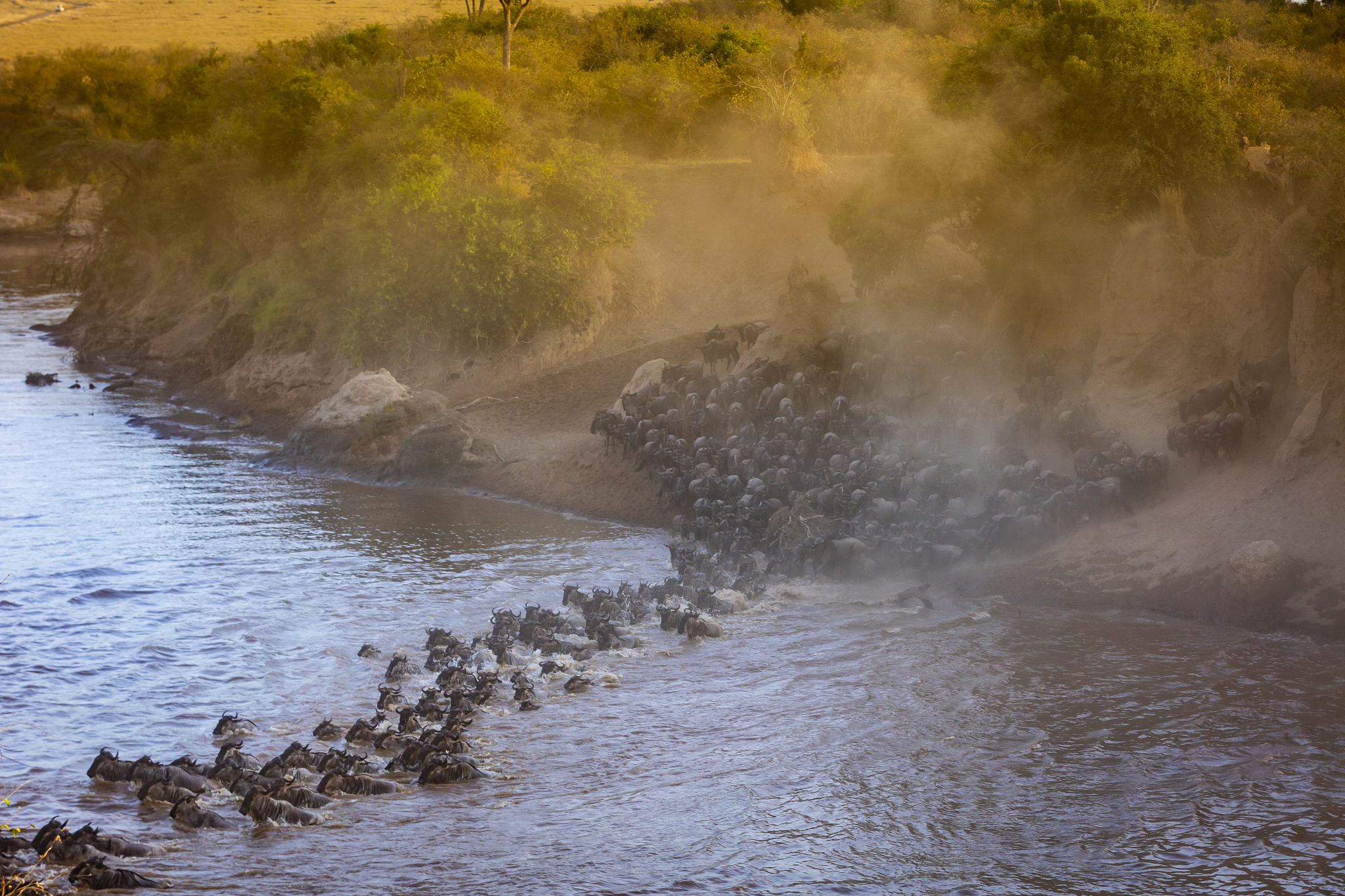great migration