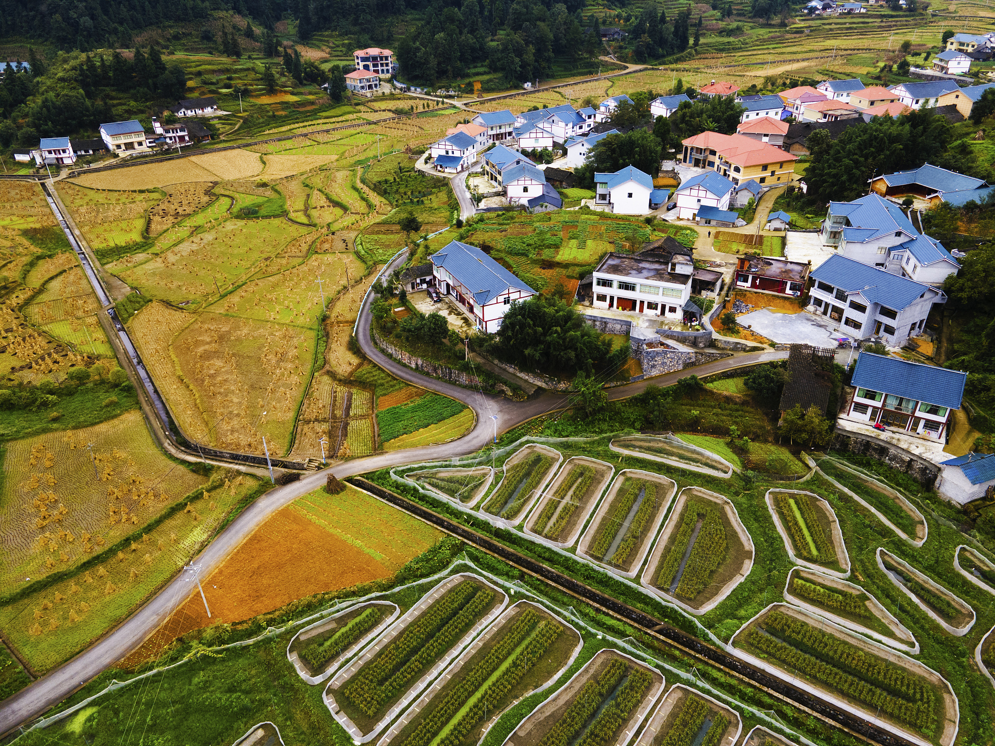 乡村产业发展座谈、入户慰问和入户调研活动请你为这活动写出一句活动主题或标题