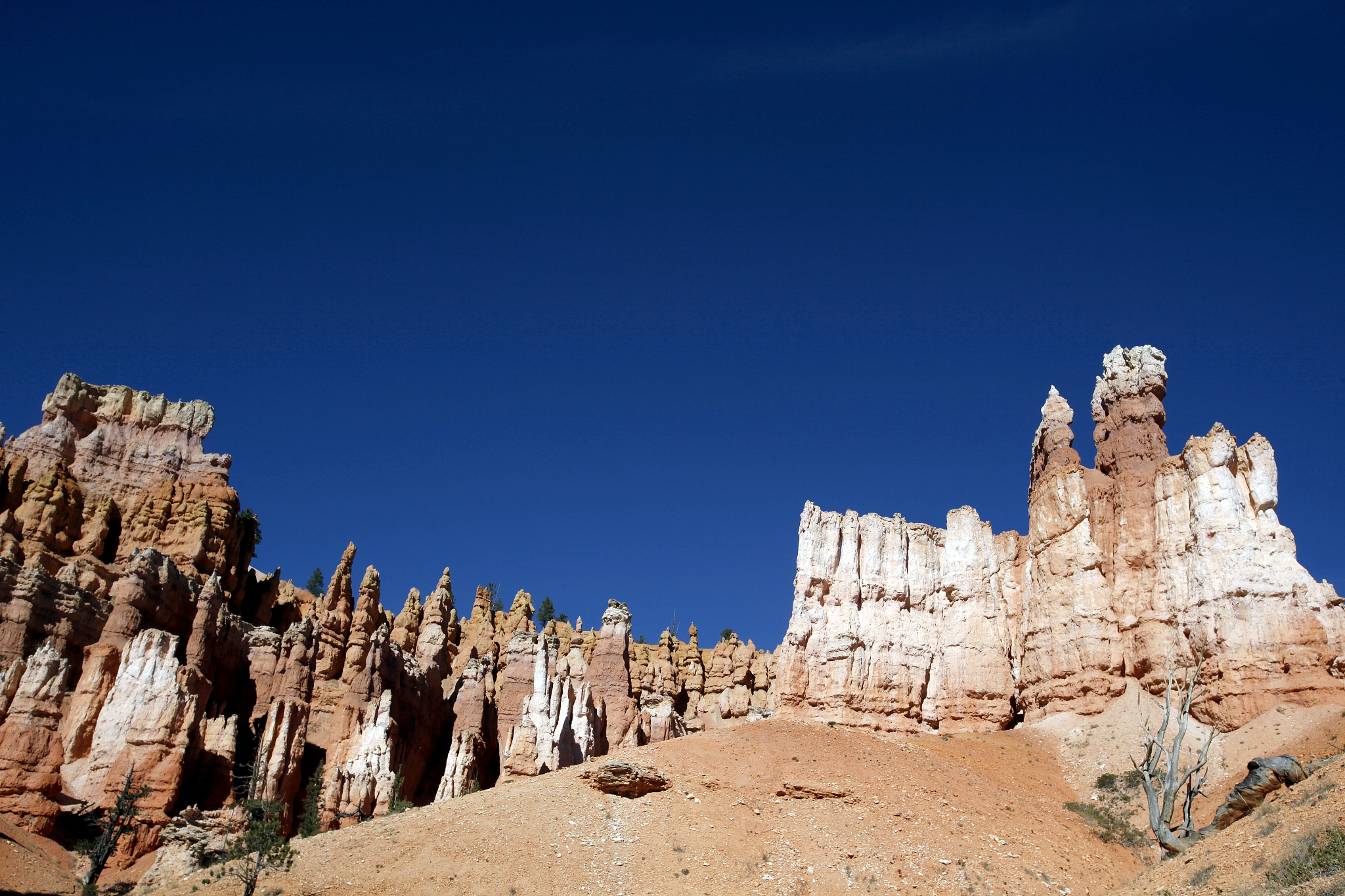 bryce canyon national park, utah, usa