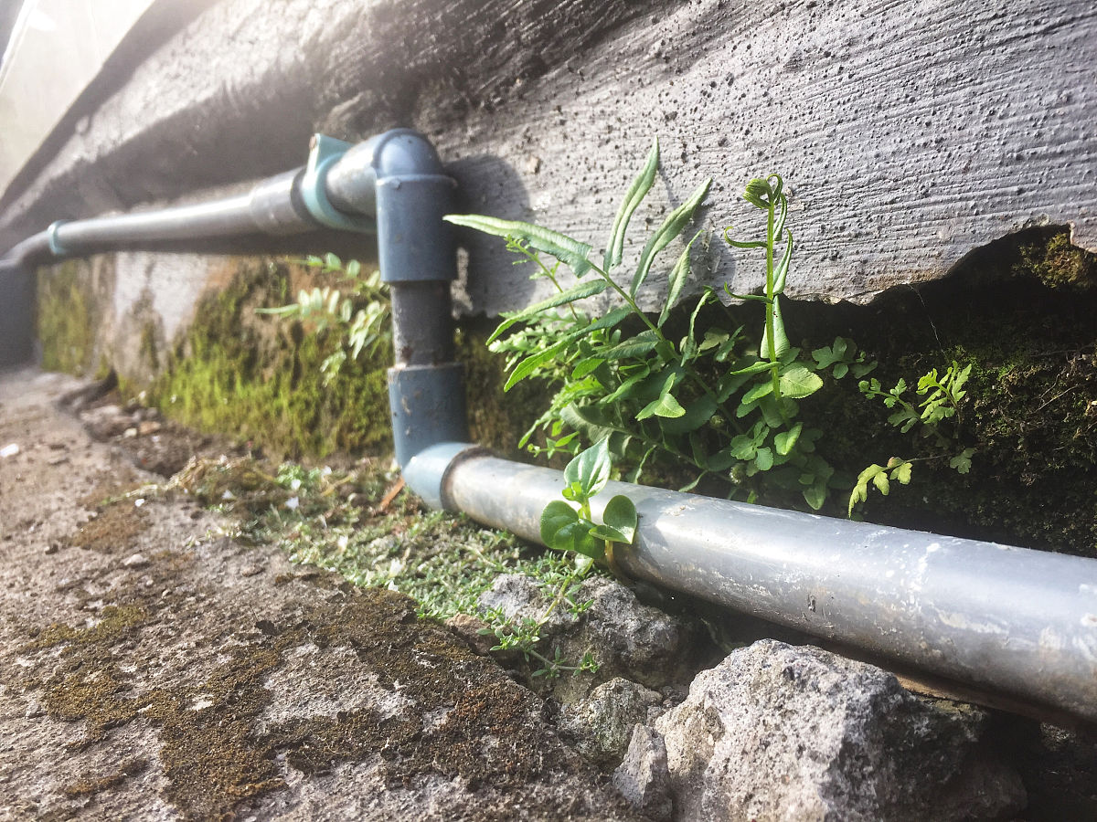 滴管带毛管出水孔间距是25厘米90的水带能铺爹长帮我用200字详细描述