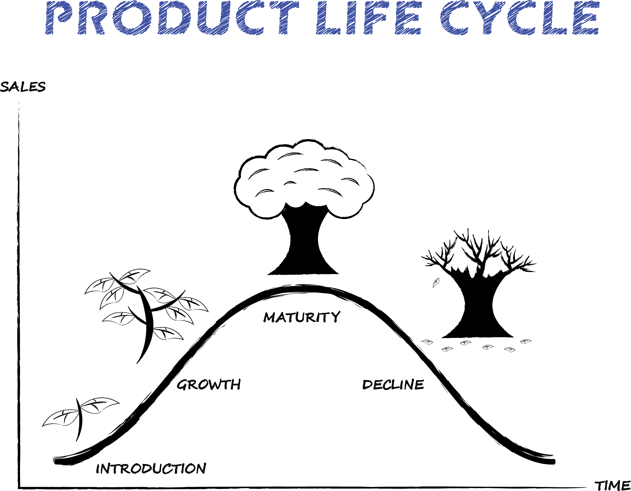 product life cycle line on white background