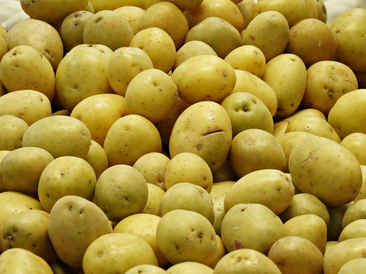土豆放多久不能吃？保存技巧及安全食用指南