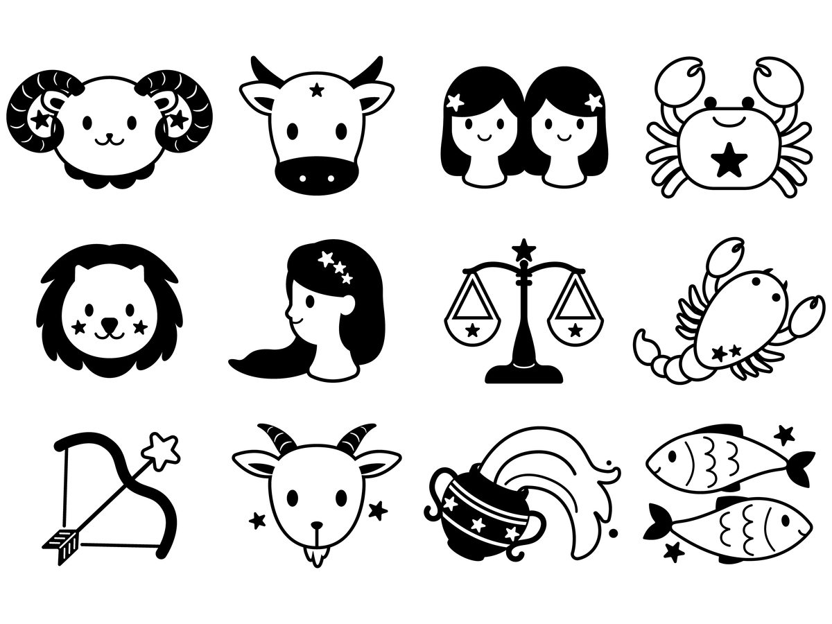 五十六个星座五十六枝花指的是什么?