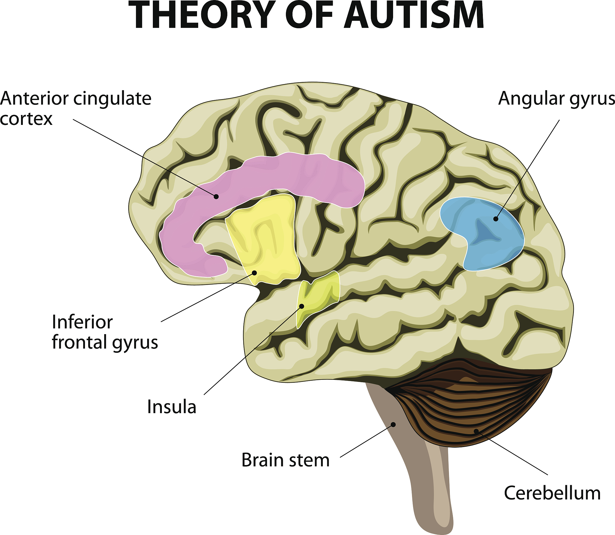 请将这段话改写通过调整语序、增减字数、替换同义词等方式避免与原文出现连续8个字相同的句子使这段话更加具有逻辑符合论文的规范：训练同一通道内神经元间的线性可分性能够评估神经元的重要程度在公式中采用二值标签并添加正则项重新定义公式如下：