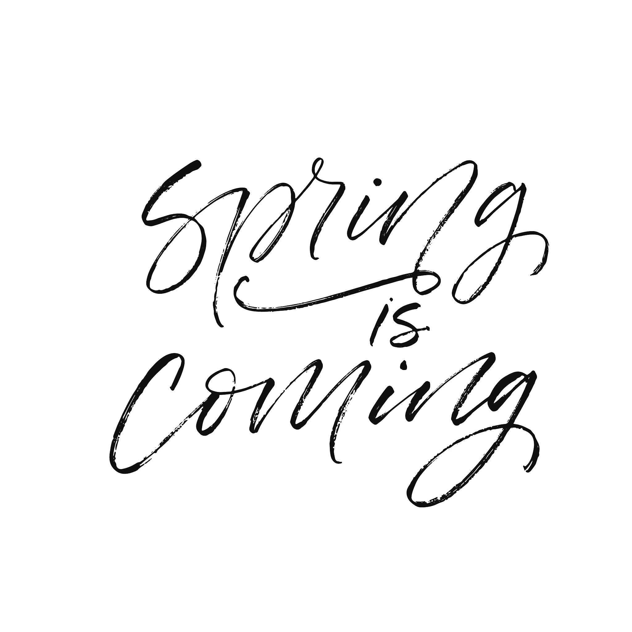 spring is coming postcard.