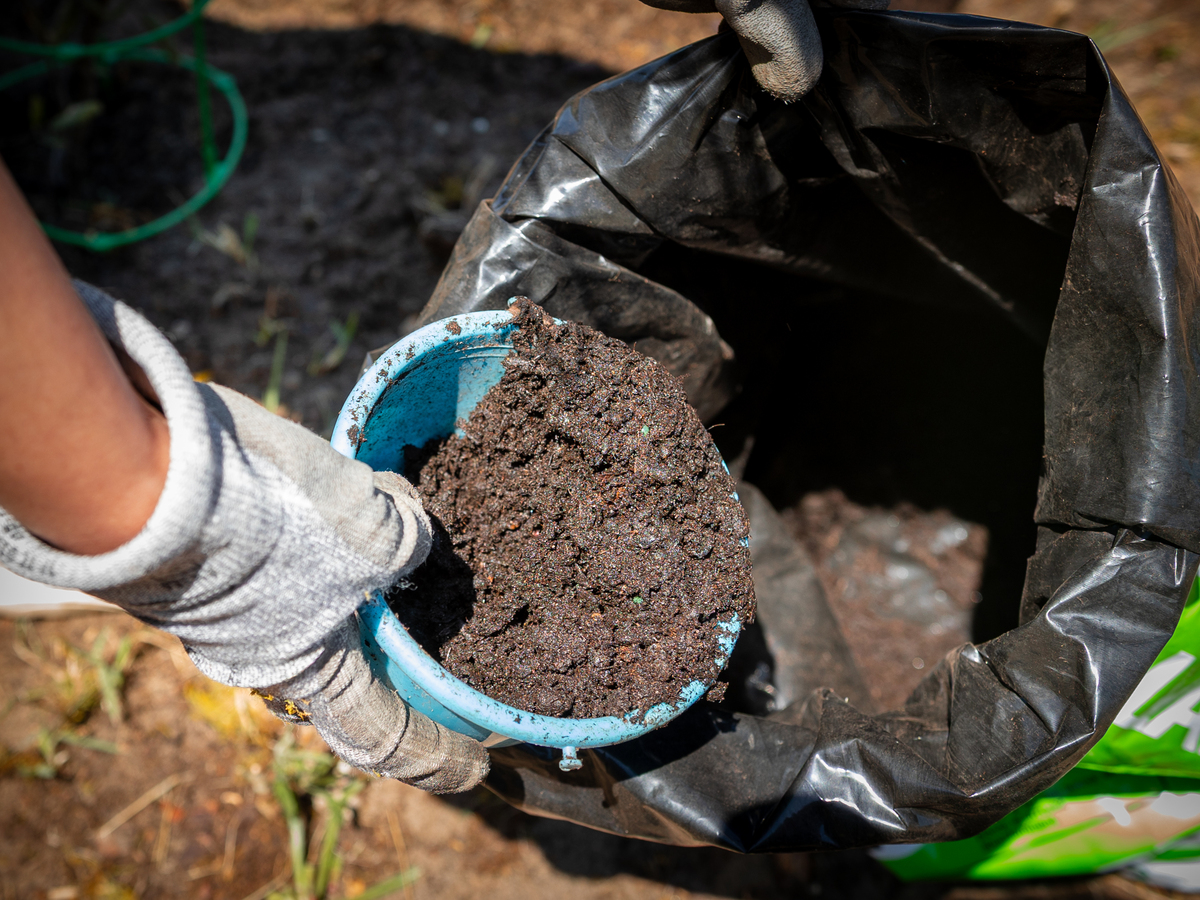 在家制作腐植土工序