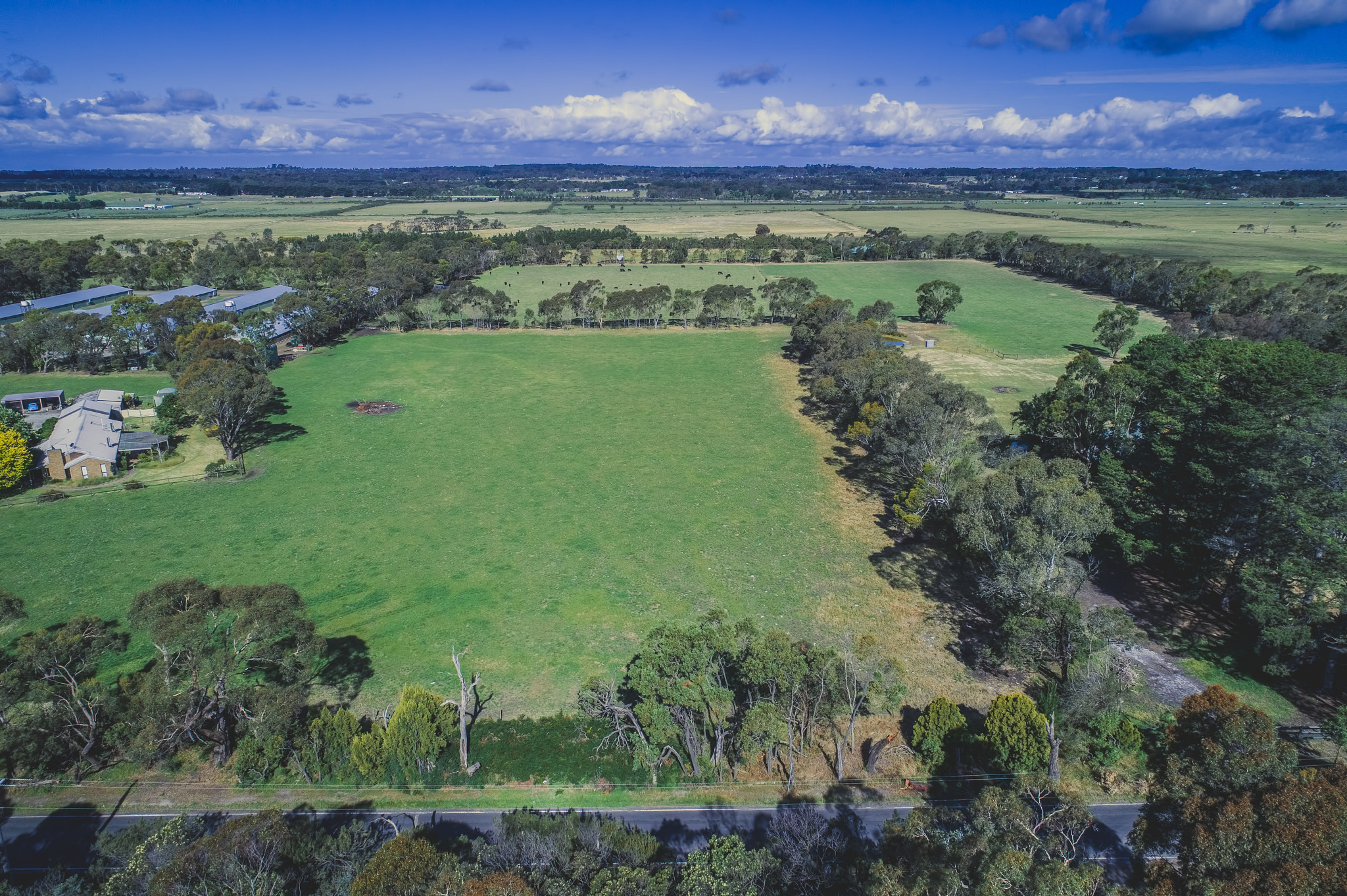 Grassland Resources: A Vital Ecosystem for Biodiversity and Human Well-being