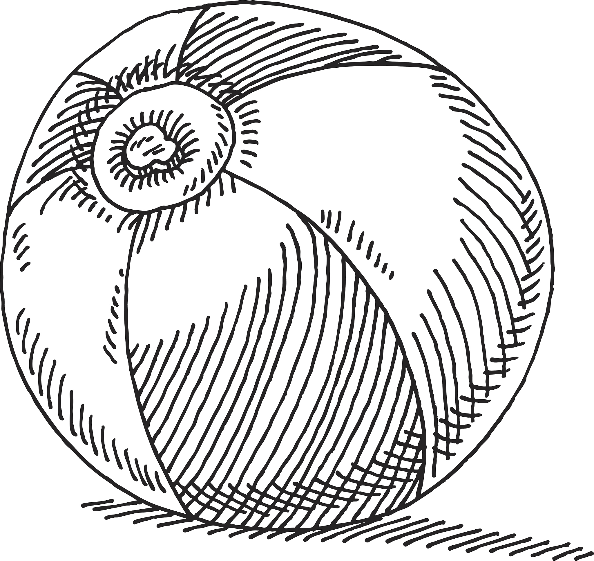 beach ball drawing