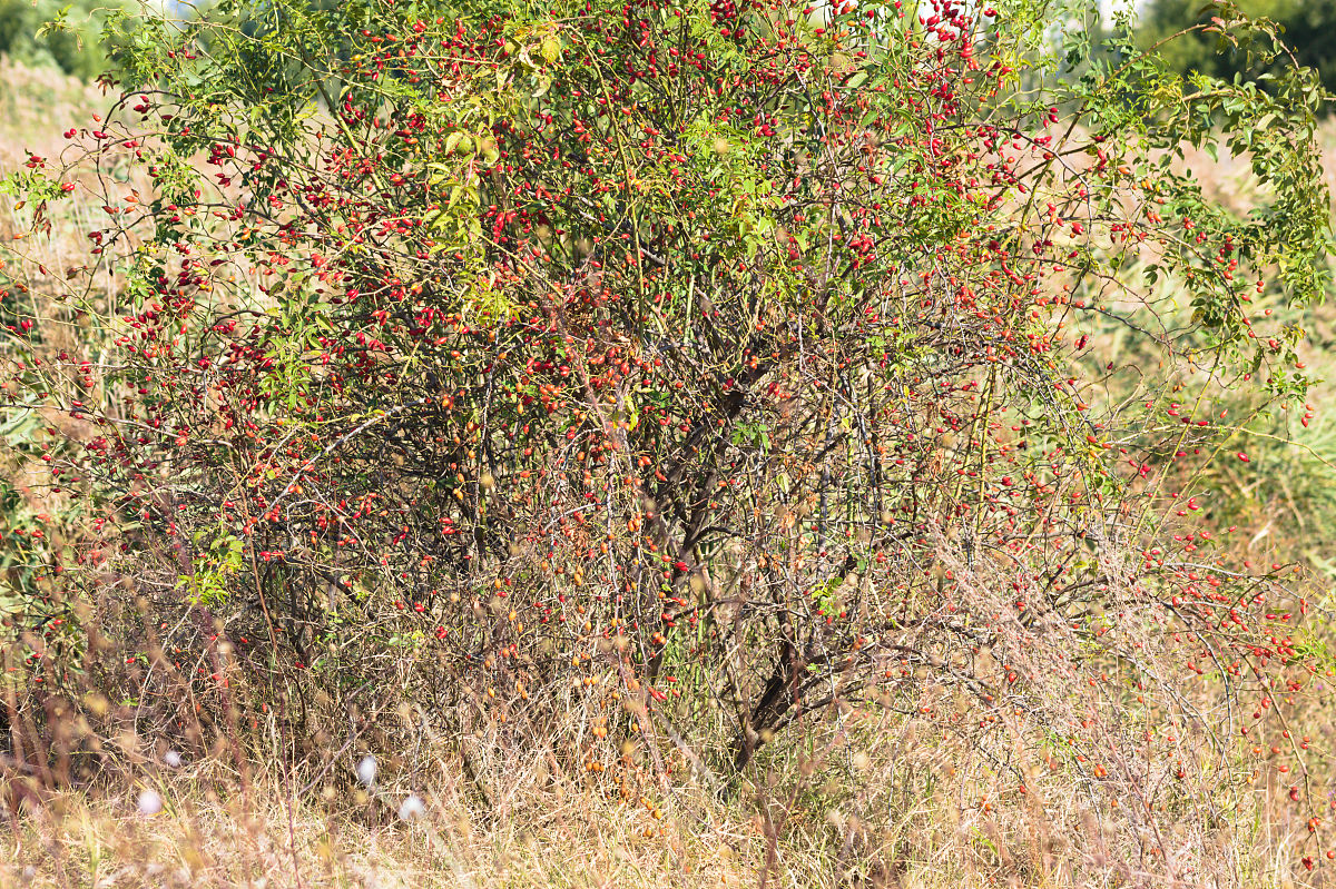 贵州省机械职业技术学校2023年怎么样？前景分析