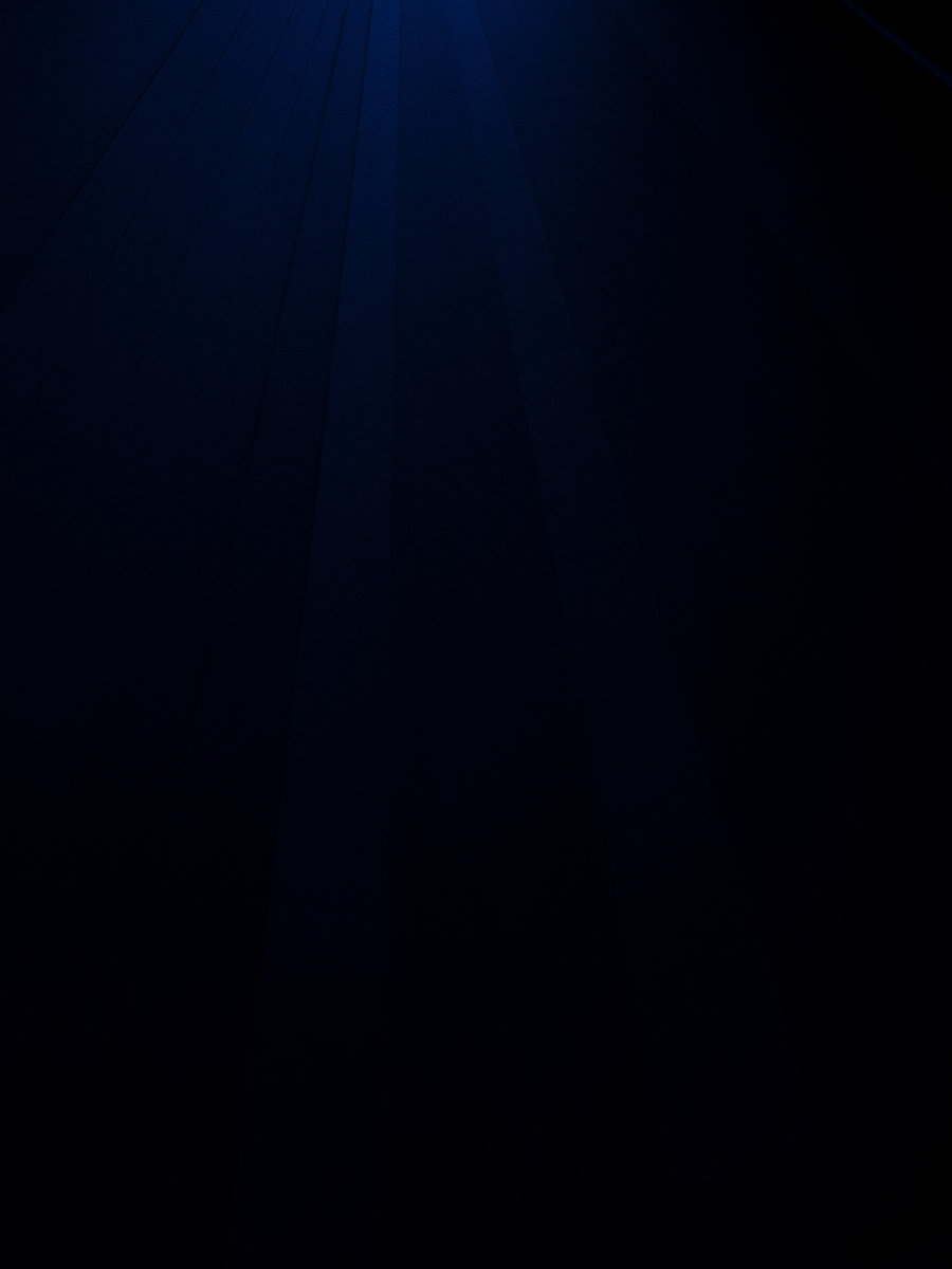 setAutoFillBackgroundtrue;