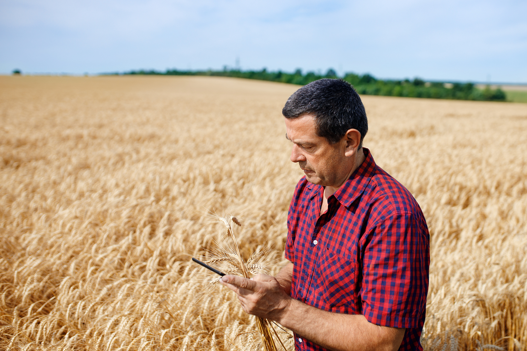 临夏州农业学校2019年招生专业 - 培养农业人才，助力乡村振兴