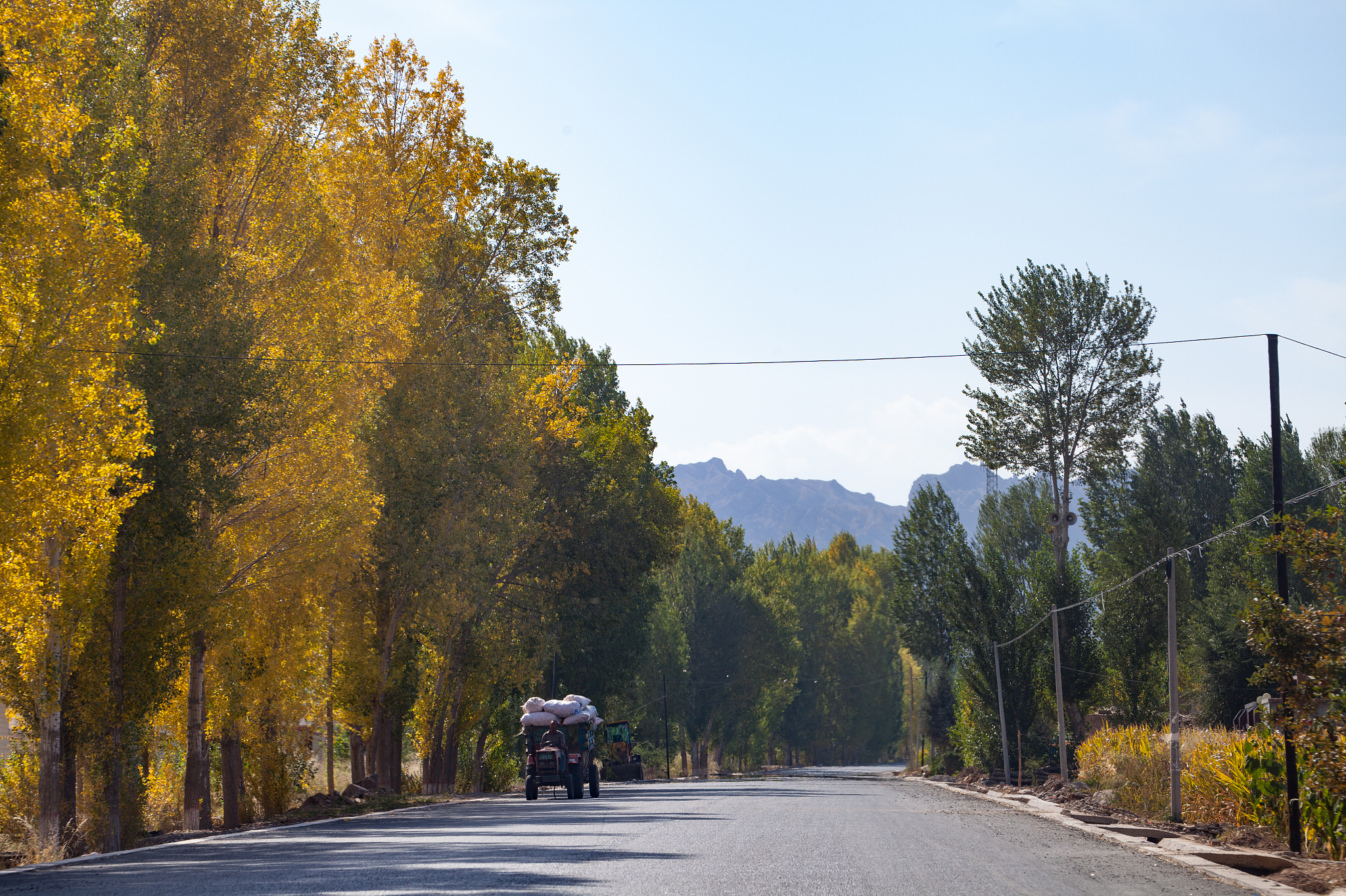 Zhang Qian: The Influential Chinese Explorer Who Opened the Silk Road