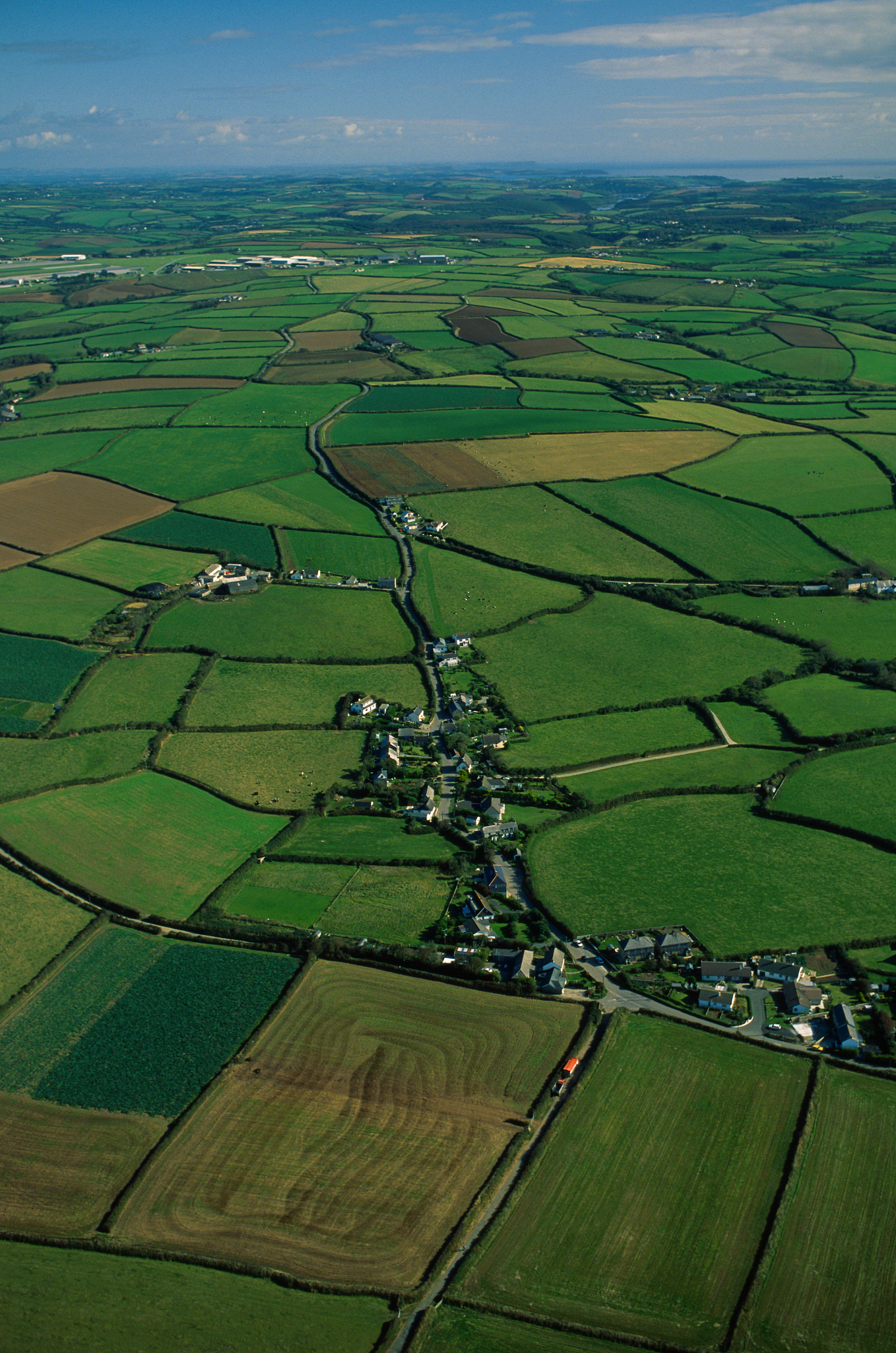 cornwall countryside