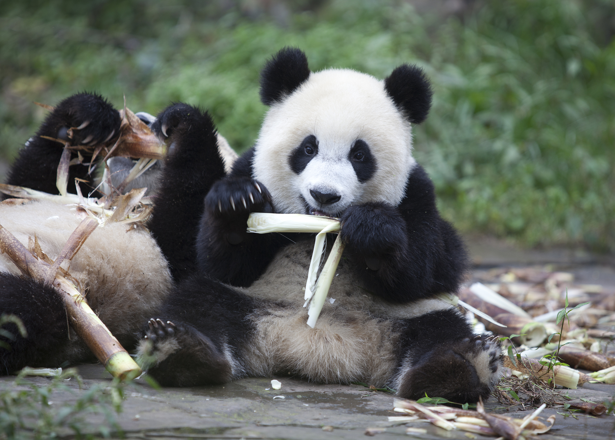 成都机电工程学校铁道运输服务专业如何好学吗