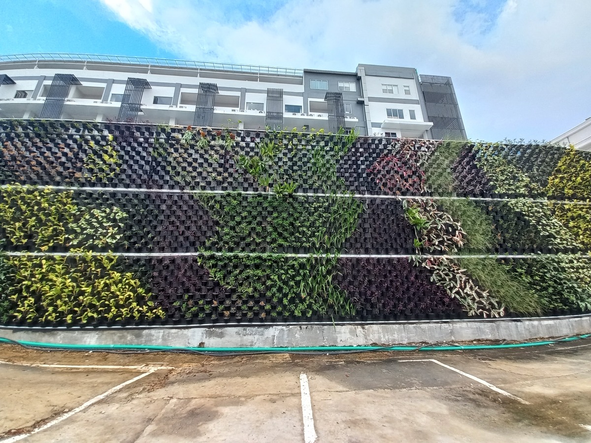 传染病医院建设节地技术：垂直绿化、屋顶花园、雨水收集等