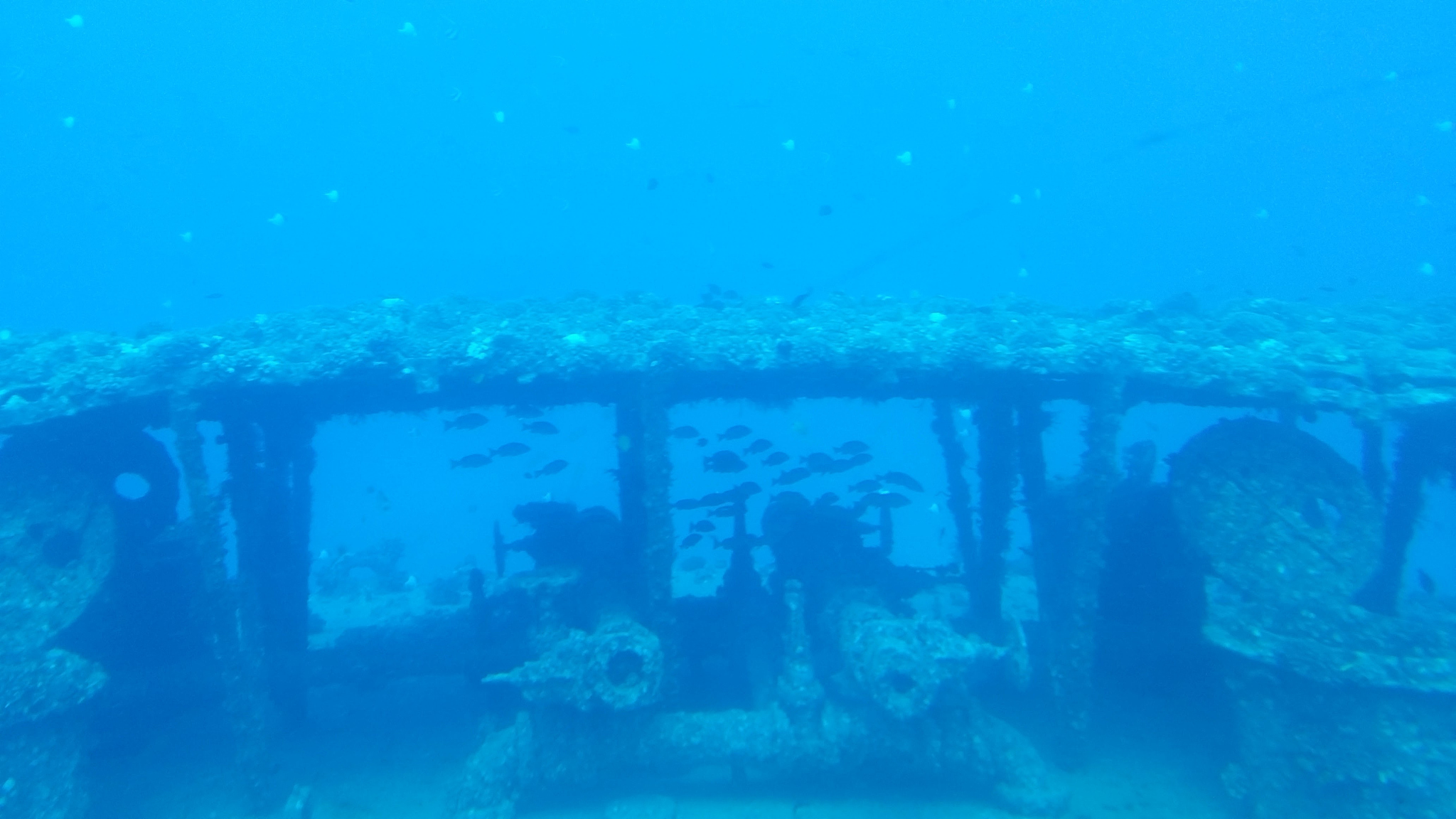 underwater dive site at waikiki beach honolulu hawaii