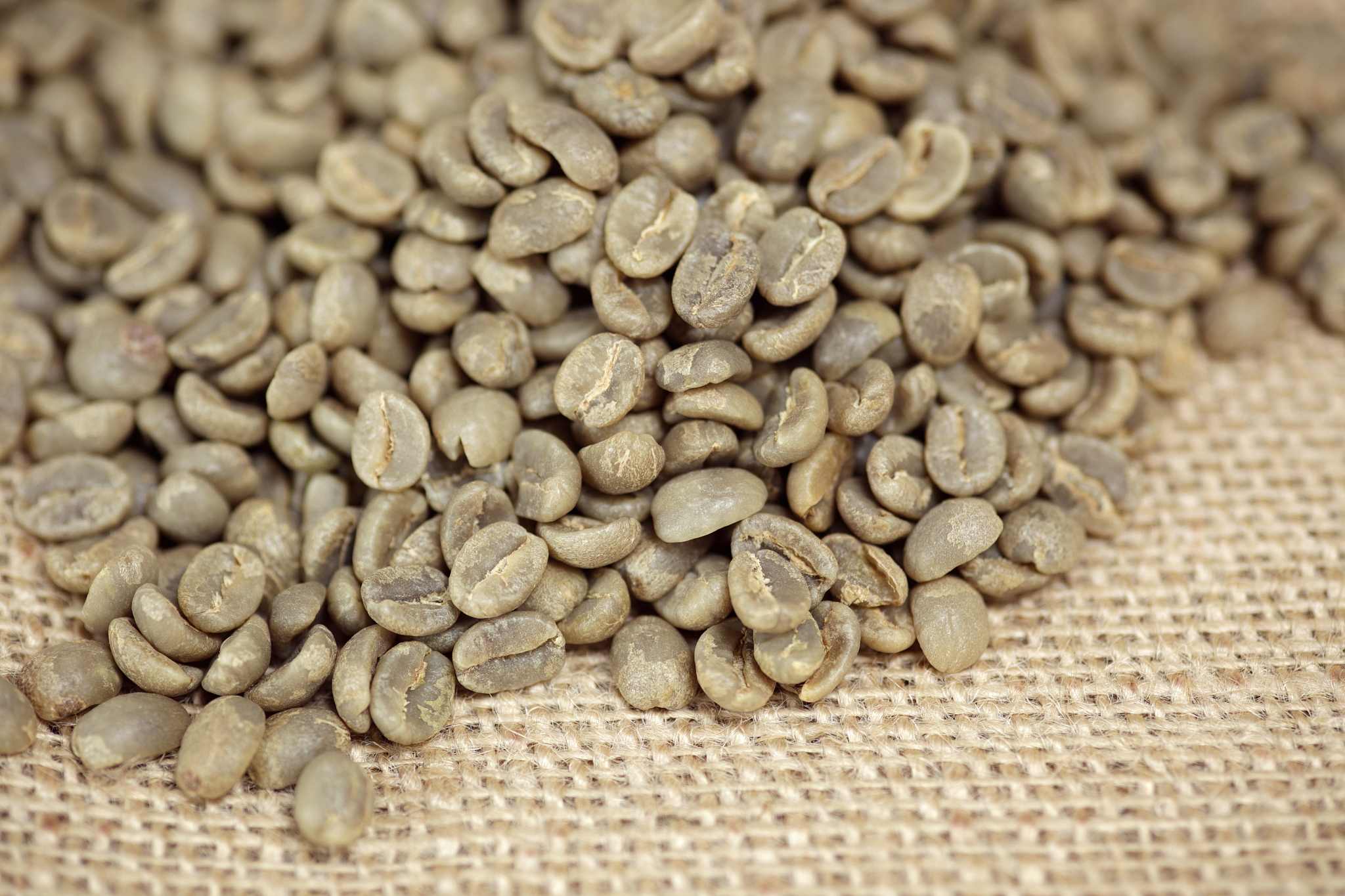 咖啡豆的红标、蓝标、绿标是什么意思？哪些国家或产区庄园有使用这种等级划分方式？