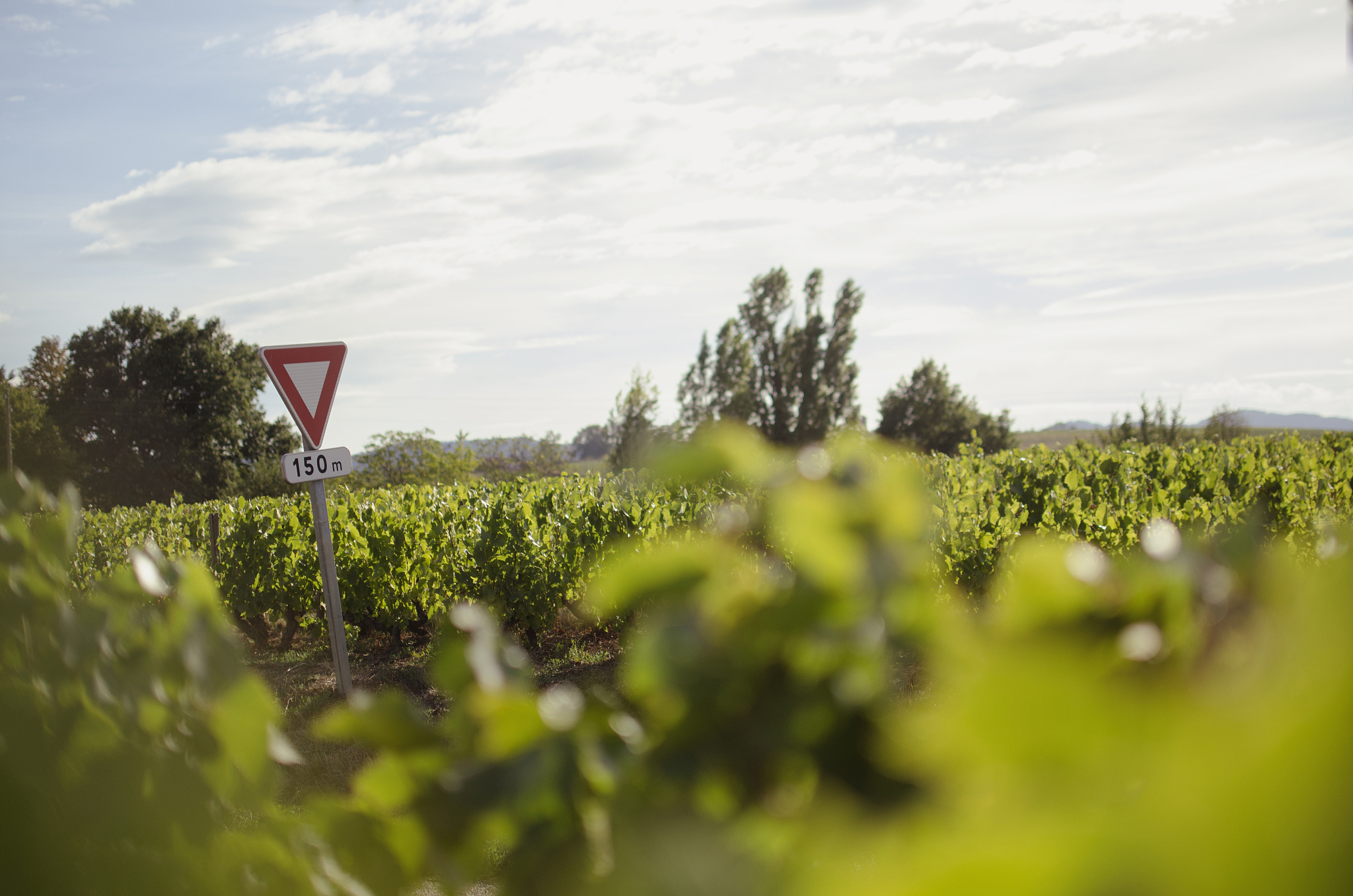 The yields loss of corn increased by 563 percentage points from 136 to 699 during the period from 1981-2001 to 1986-2016 Similarly the yields loss of soybean and winter wheat increases from 1232 from