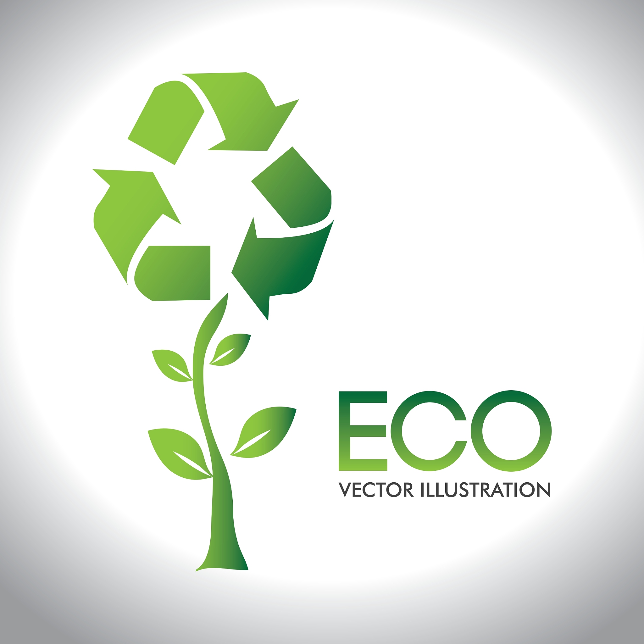 ecology design