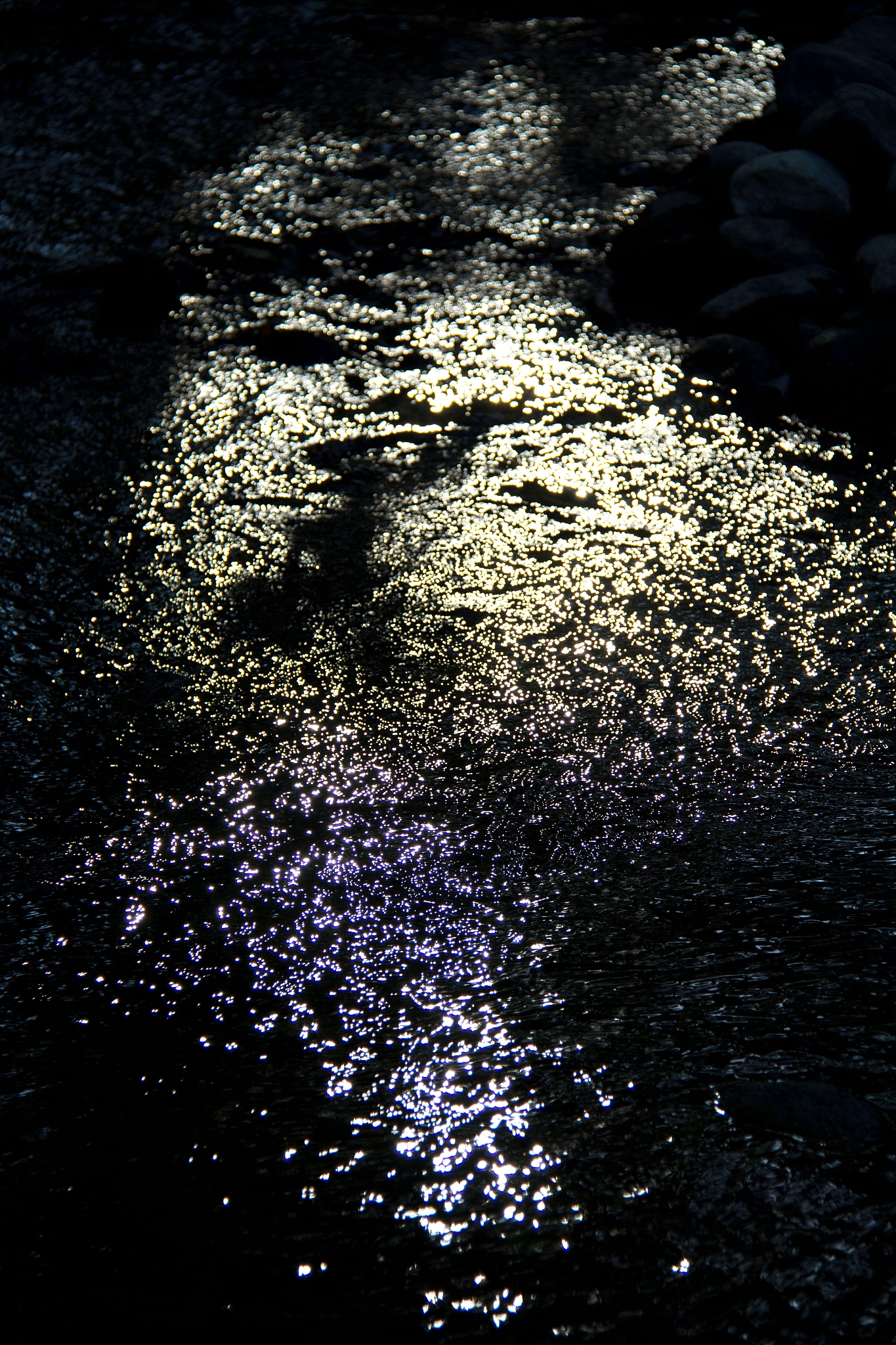 80年代以降の少年マンガ雑誌とメディアミックスの関係: アニメ化から実写化へ