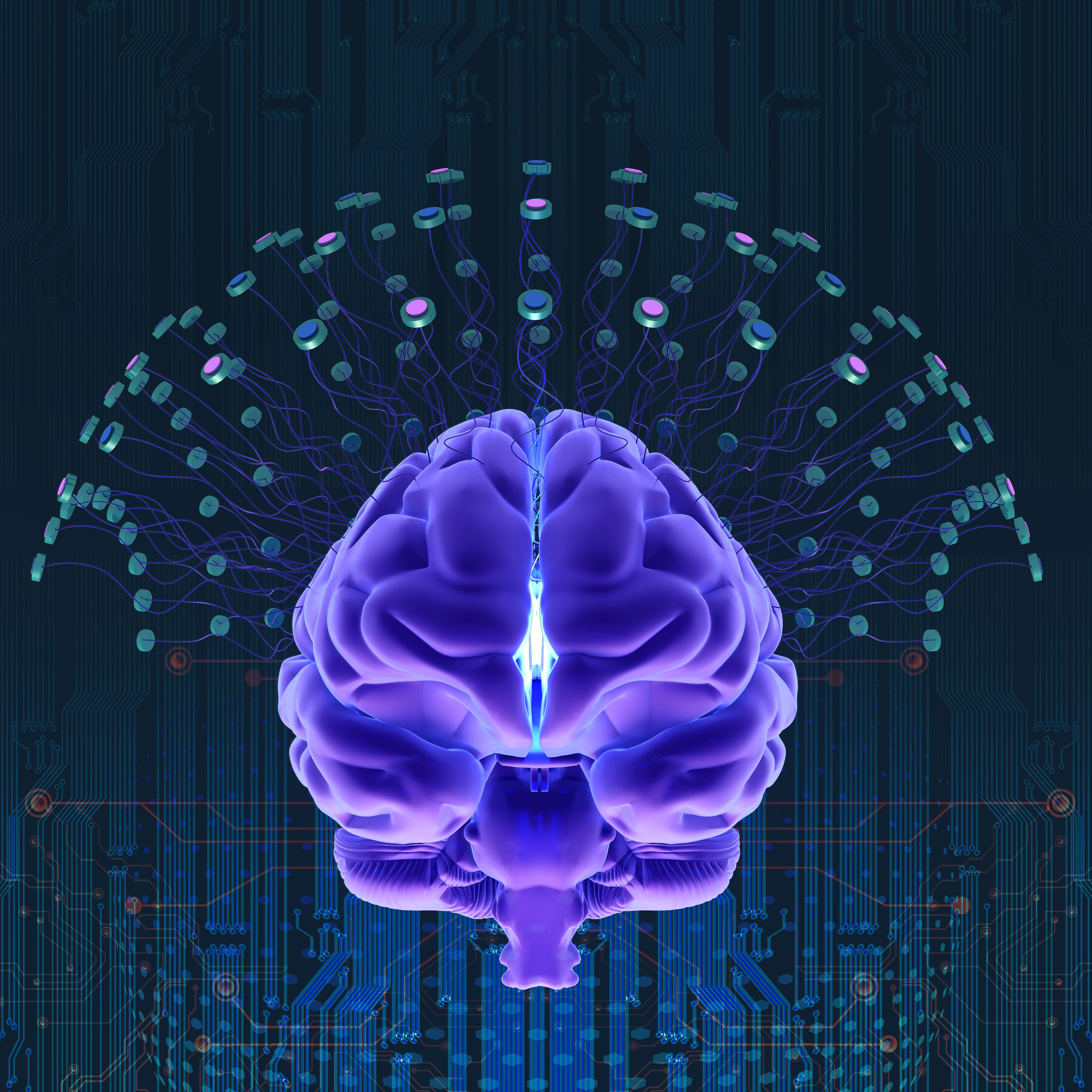 HUMAN BRAIN MAPPING 期刊：神经科学和脑成像领域的领先期刊