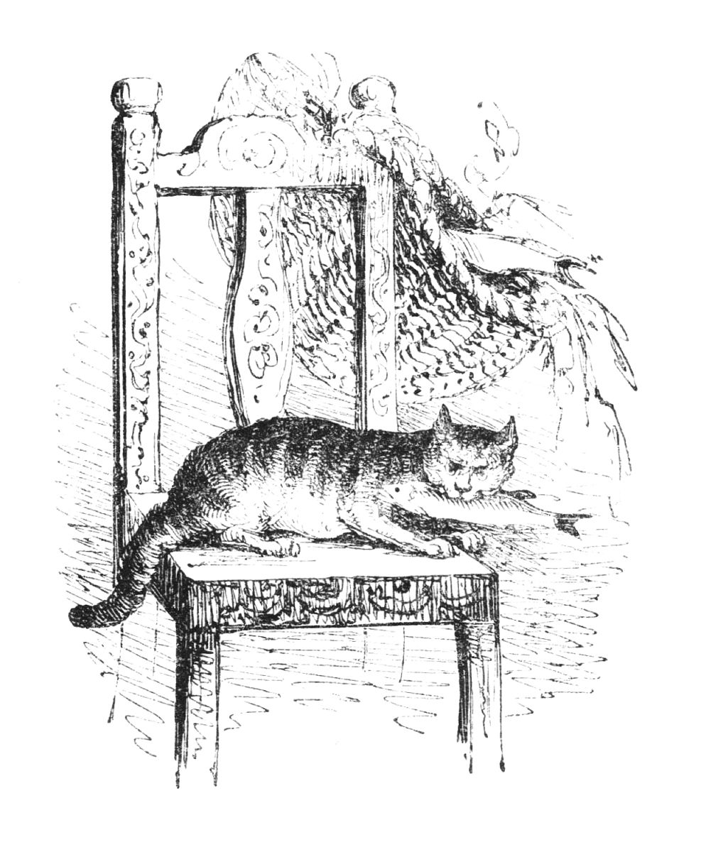 'Put the Cat Among the Pigeons' Meaning and Origin Explained - SEO Optimized