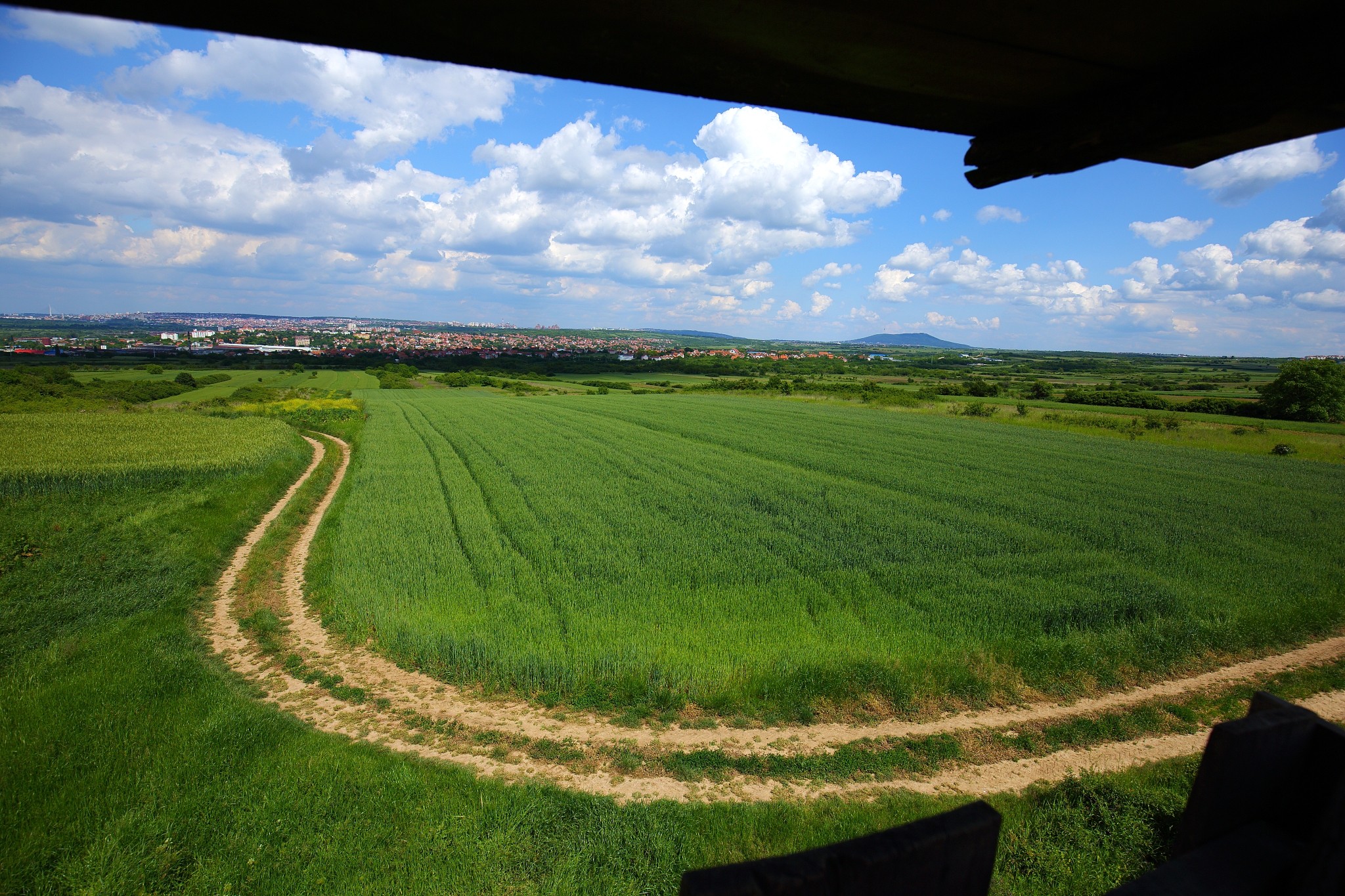 field of spring