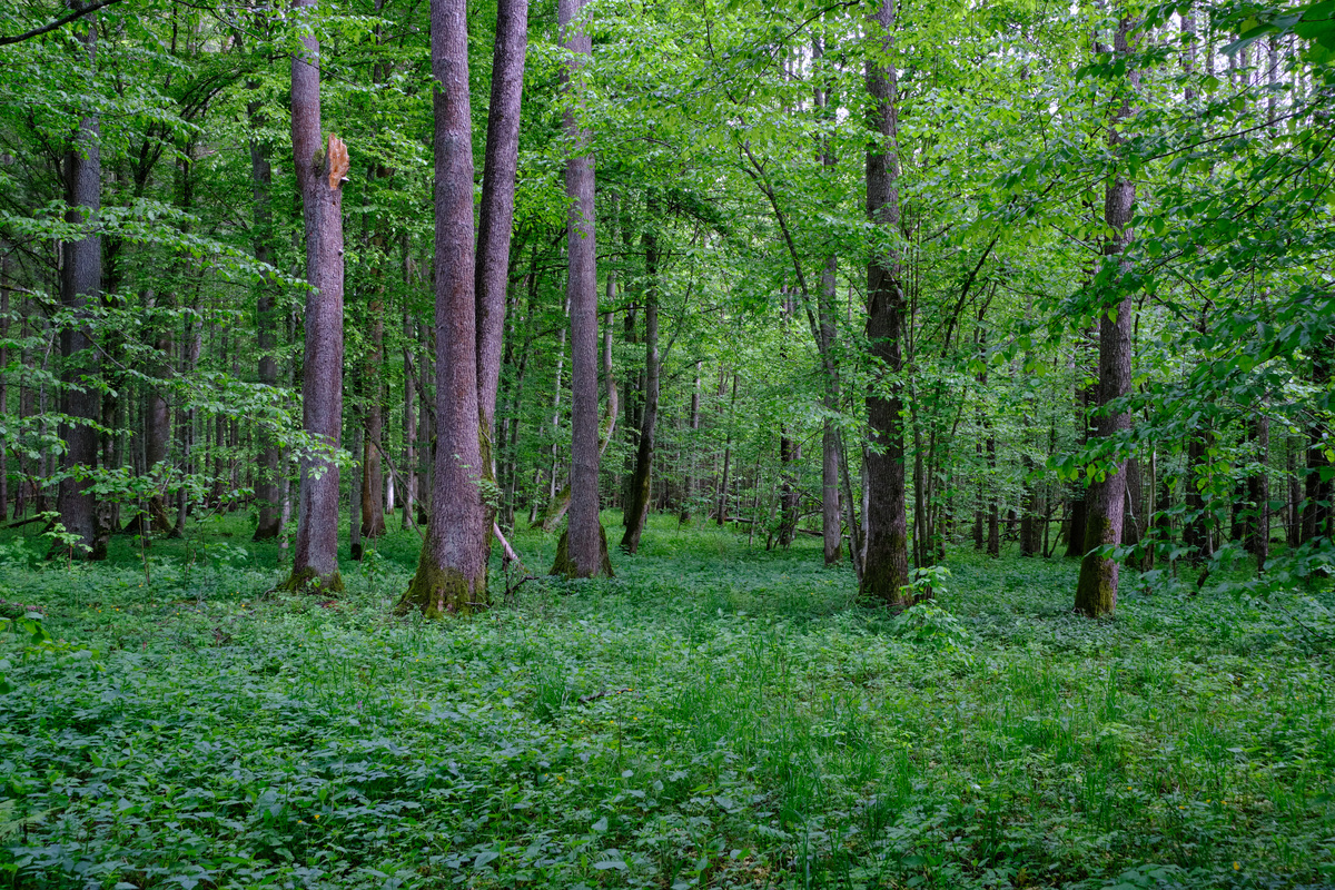 有少数学者研究不同季节人类活动对生态环境的影响文献综述