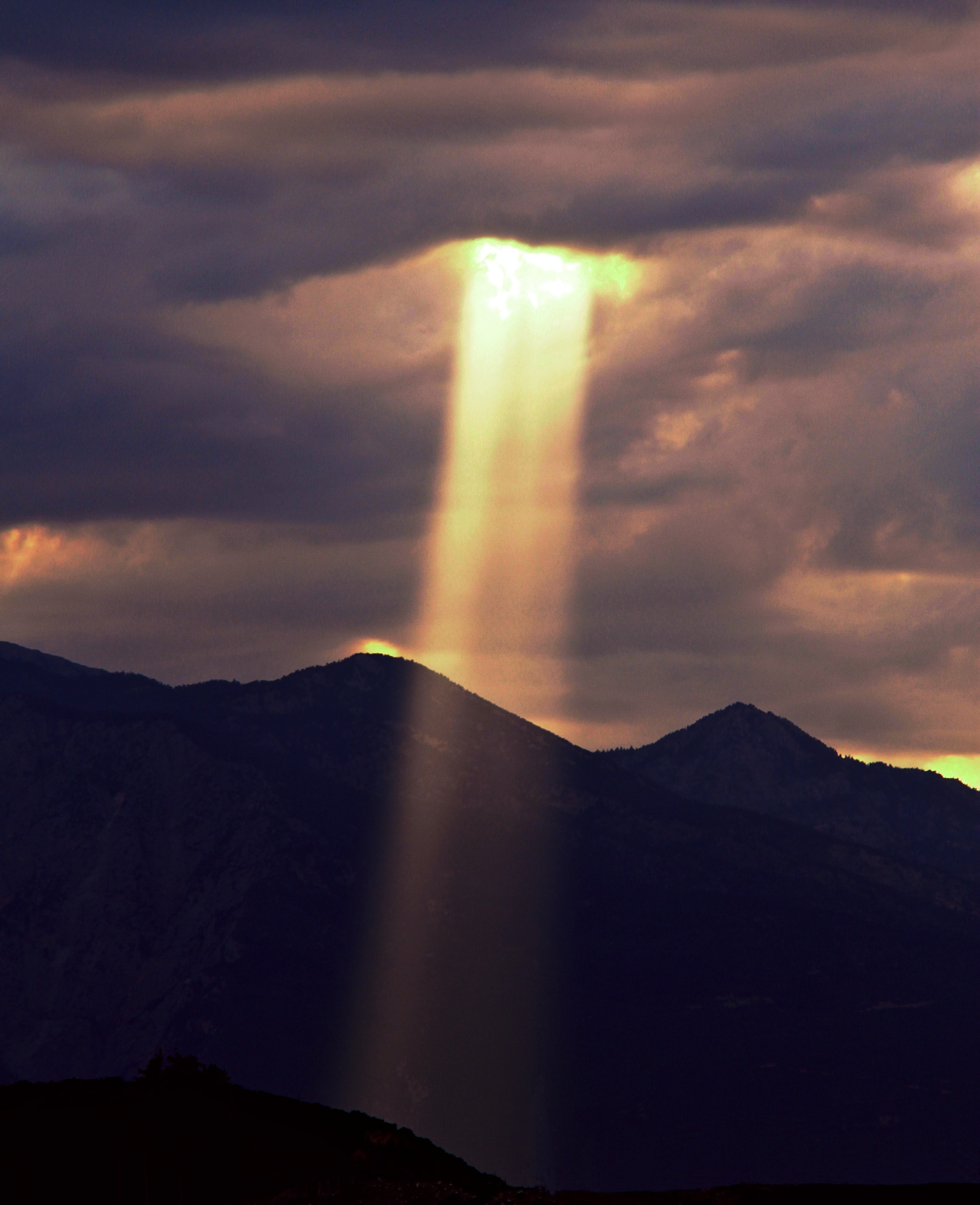the light