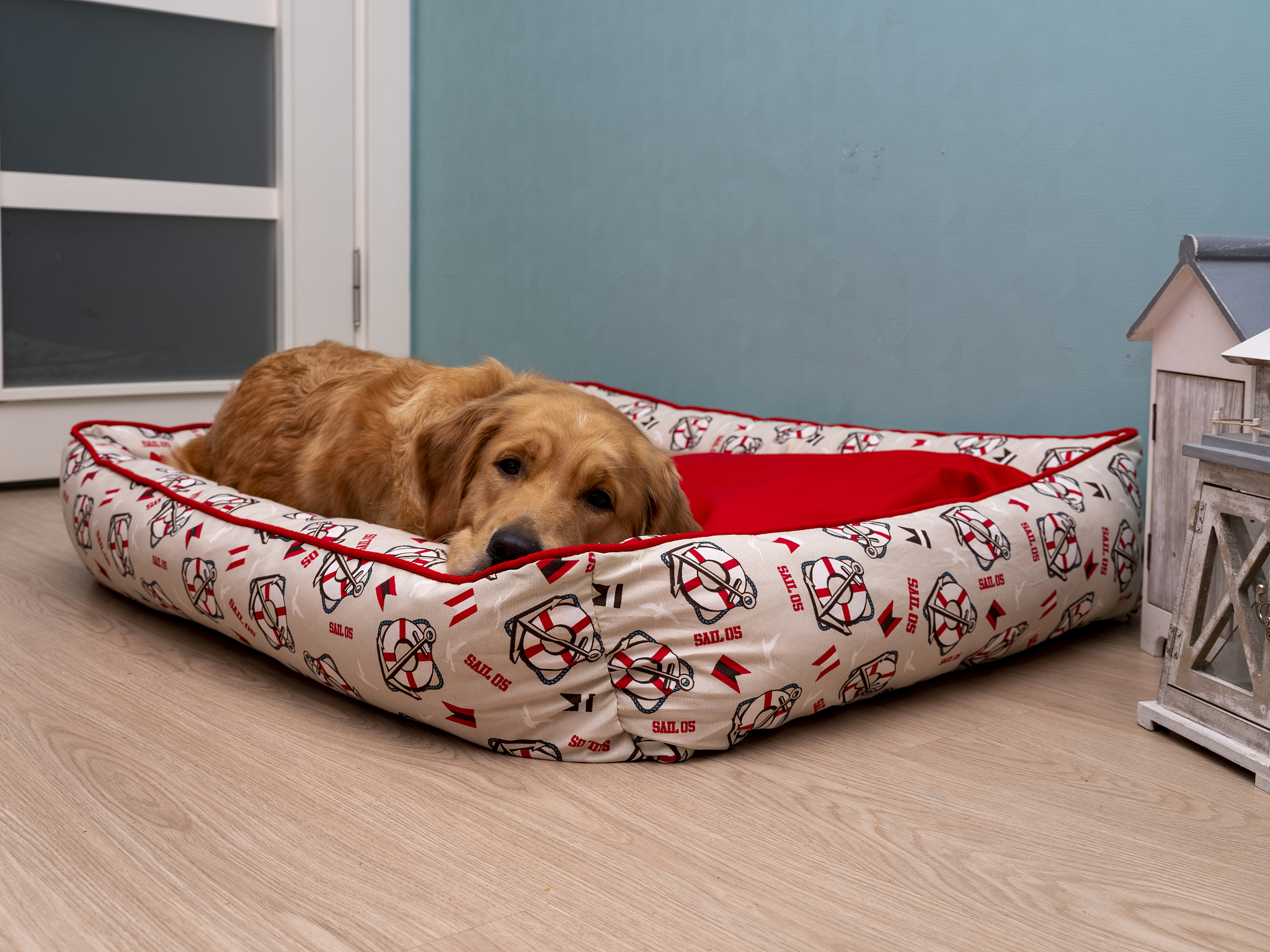 打造狗狗舒适睡眠环境：庇护所与睡眠指南