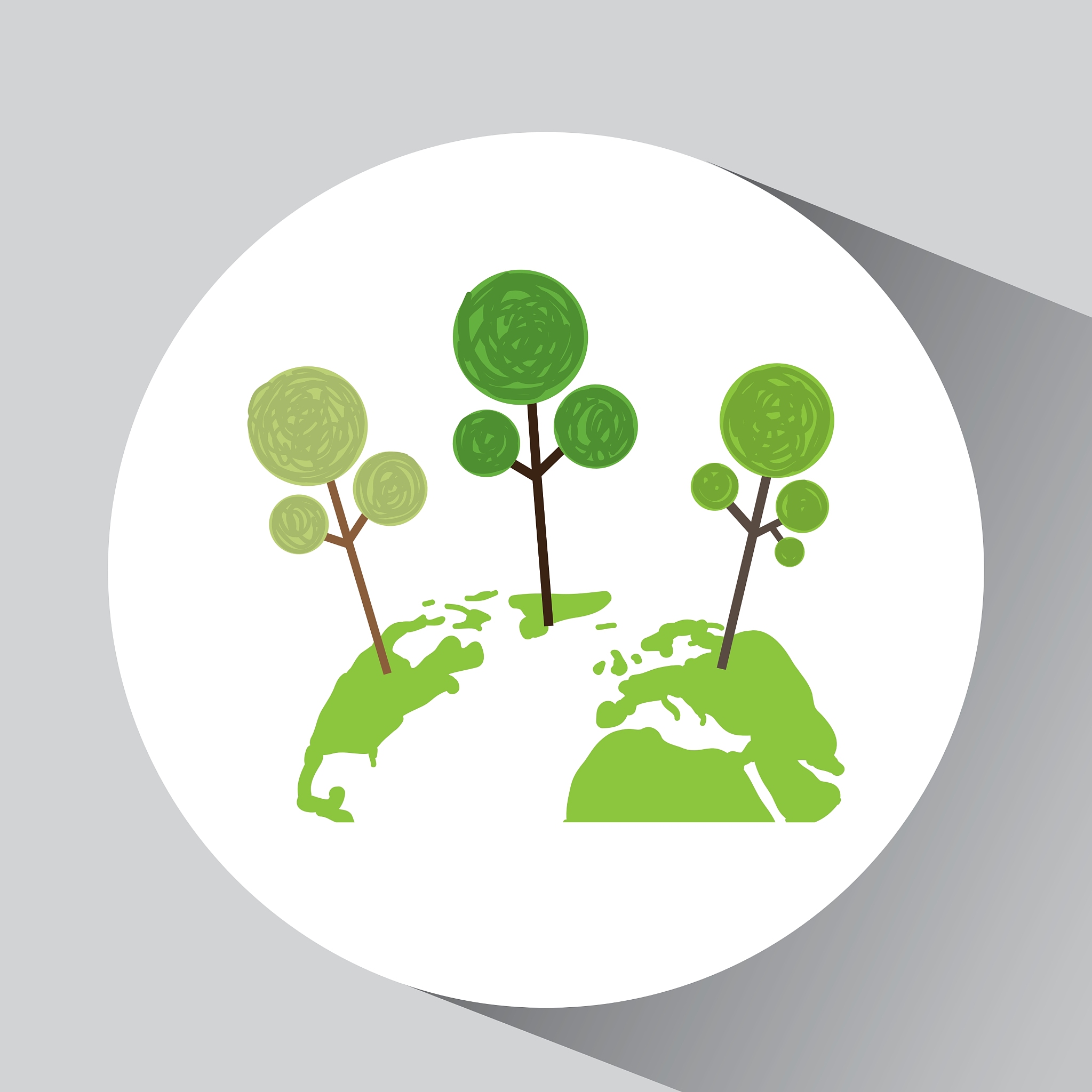 植树造林：保护环境，守护未来