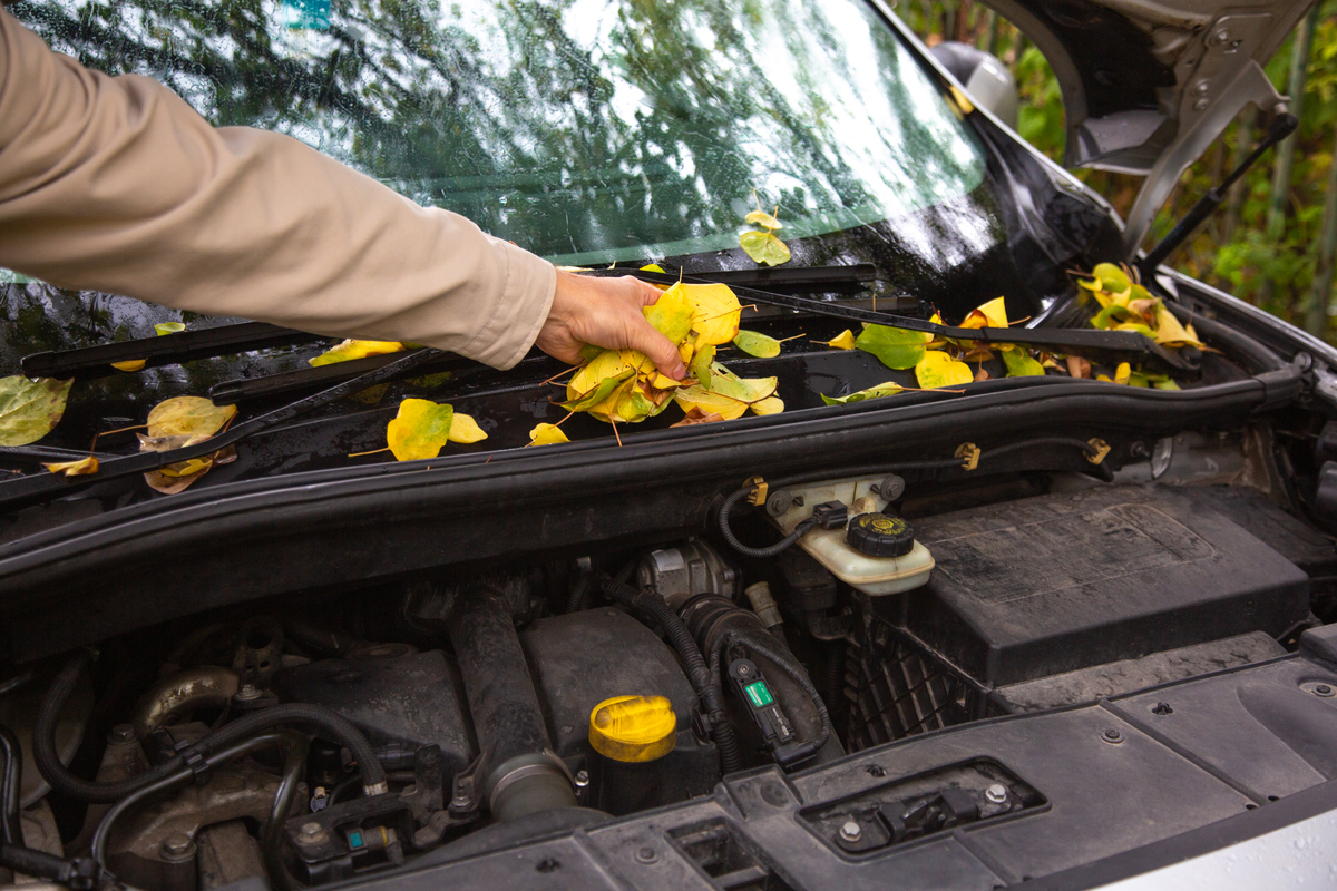 简述空气滤清器清理或更换的方法