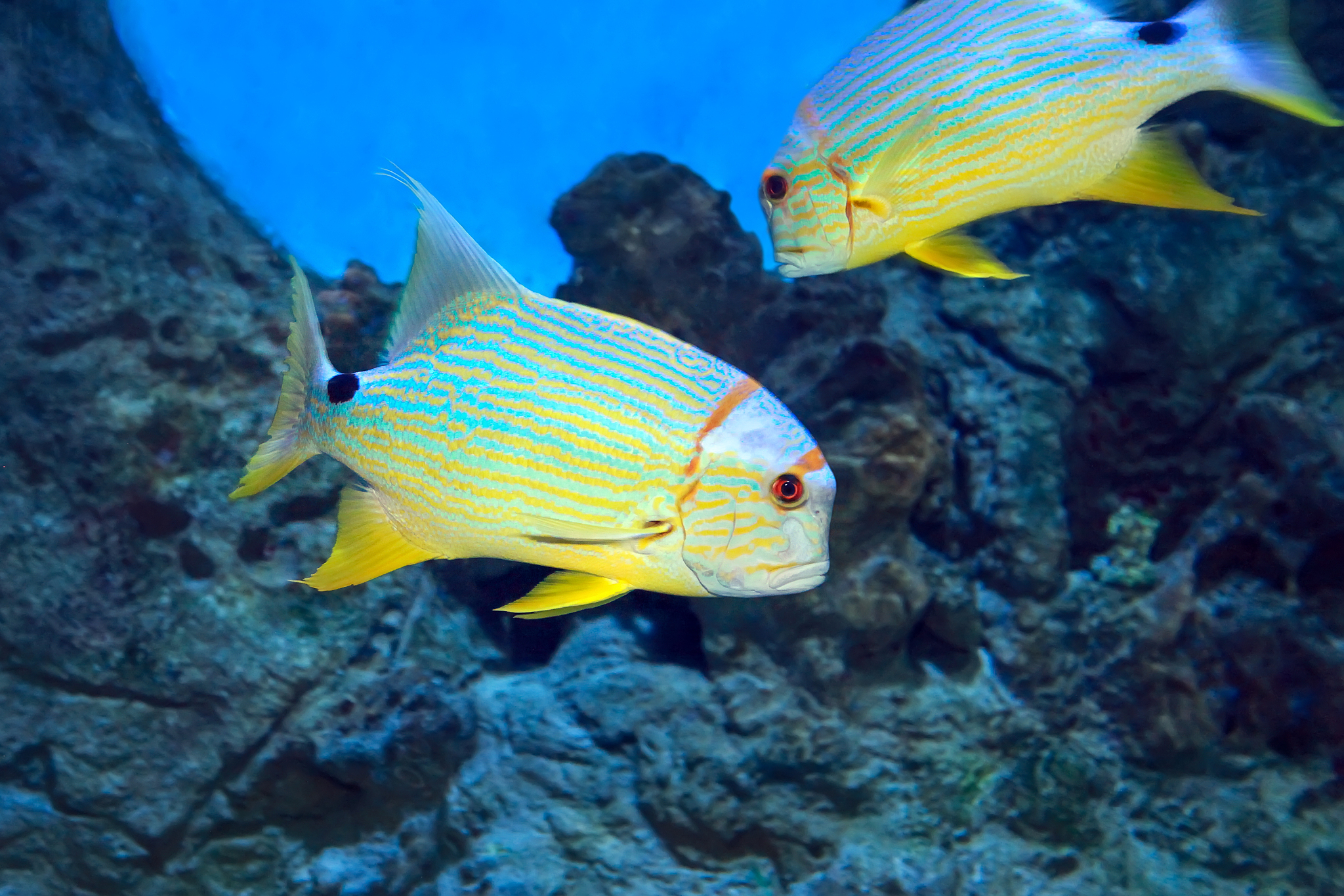 广东省海洋工程职业技术学校2022年招生简章 | 报名指南