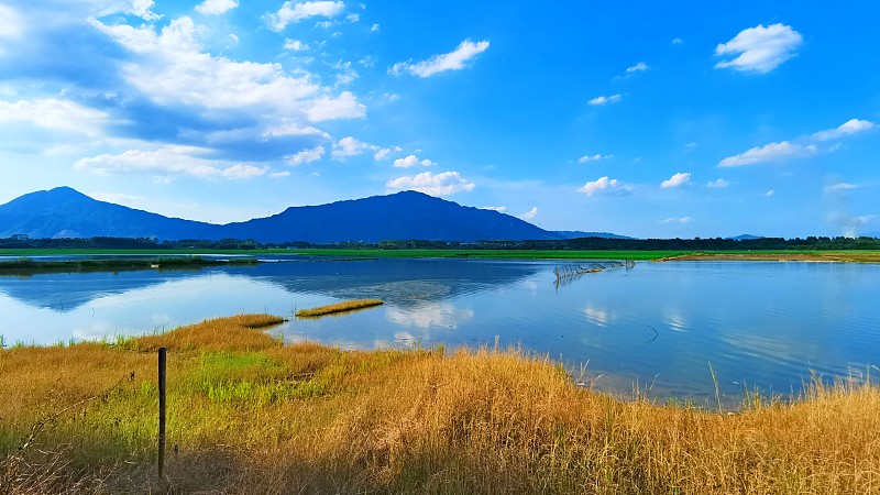 45户养户出现异常死淘！警惕！养殖风险预警