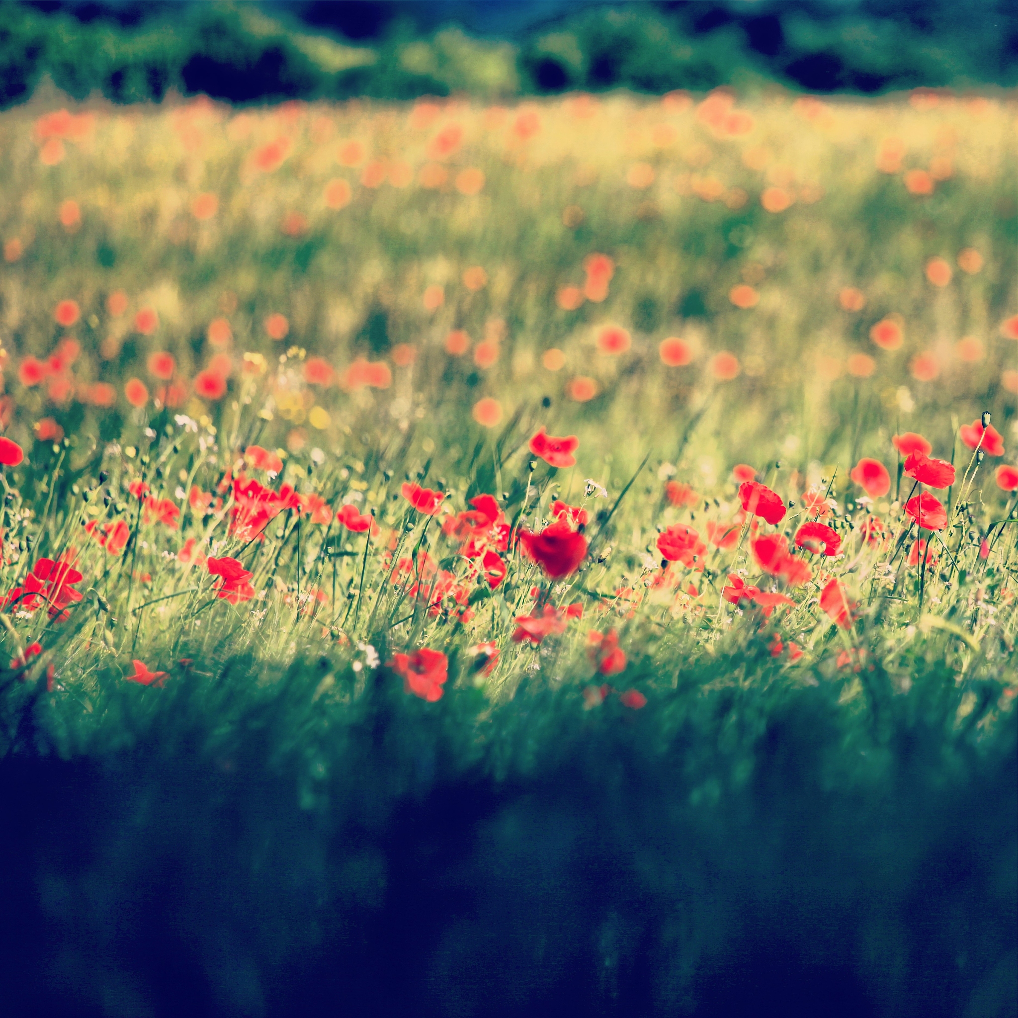 STM32F103C8T6 引脚功能详解 - 详细列表及用途