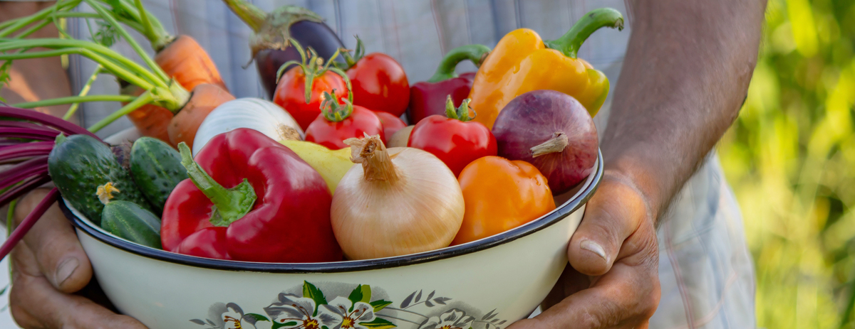 洋葱和番茄能一起吃吗？营养搭配更健康！