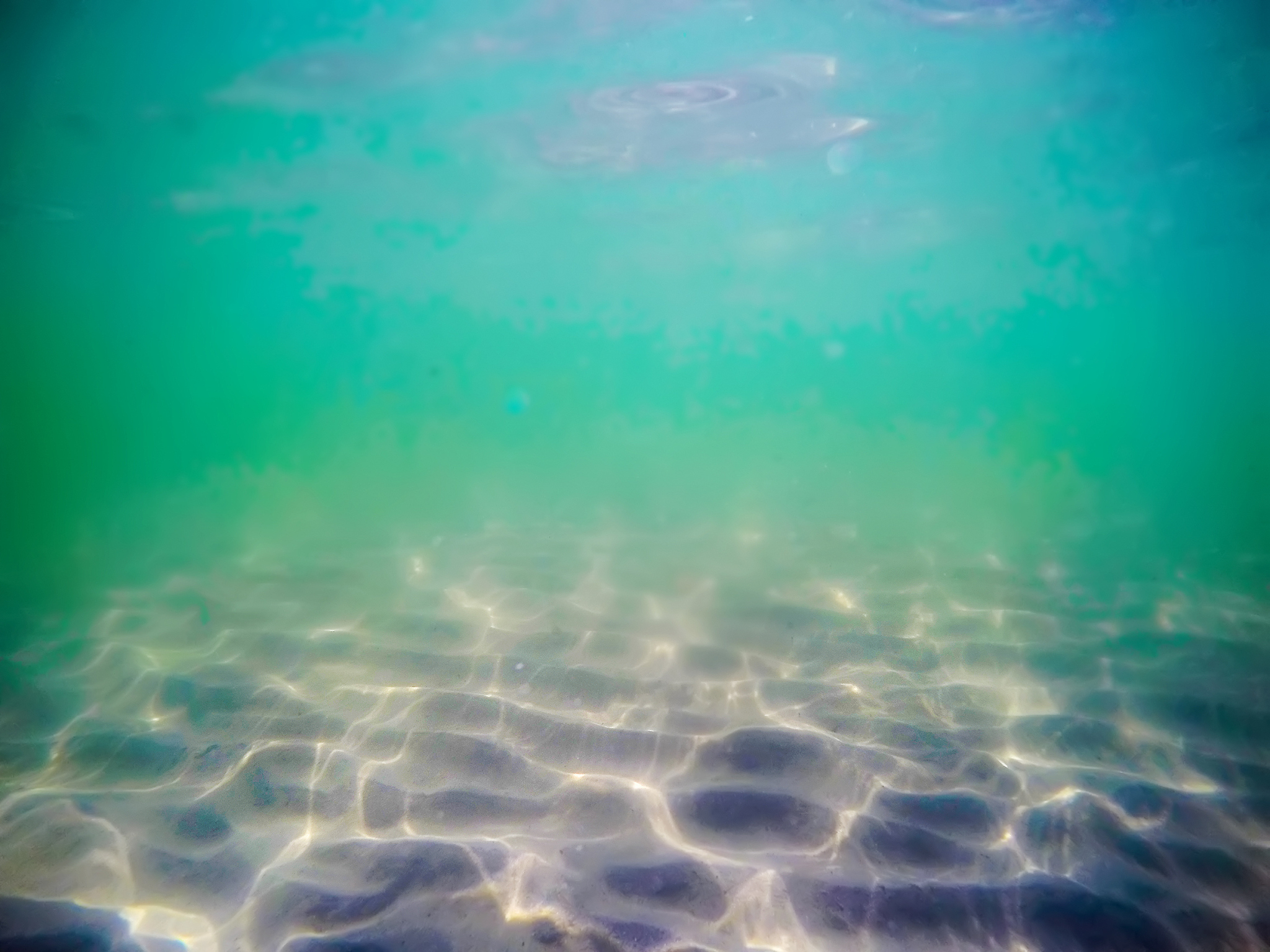 green water in alghero shore