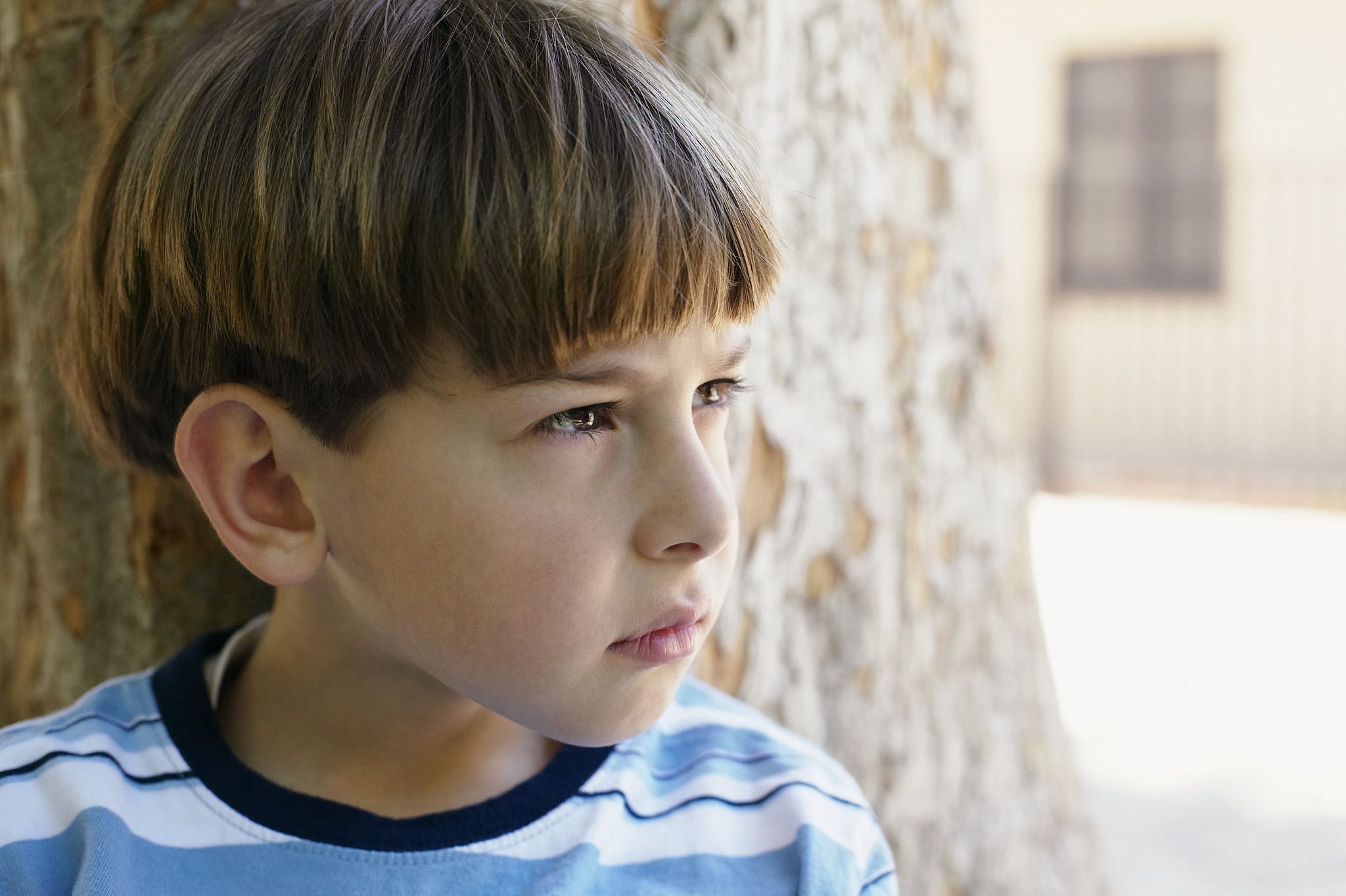 boy alongside tree